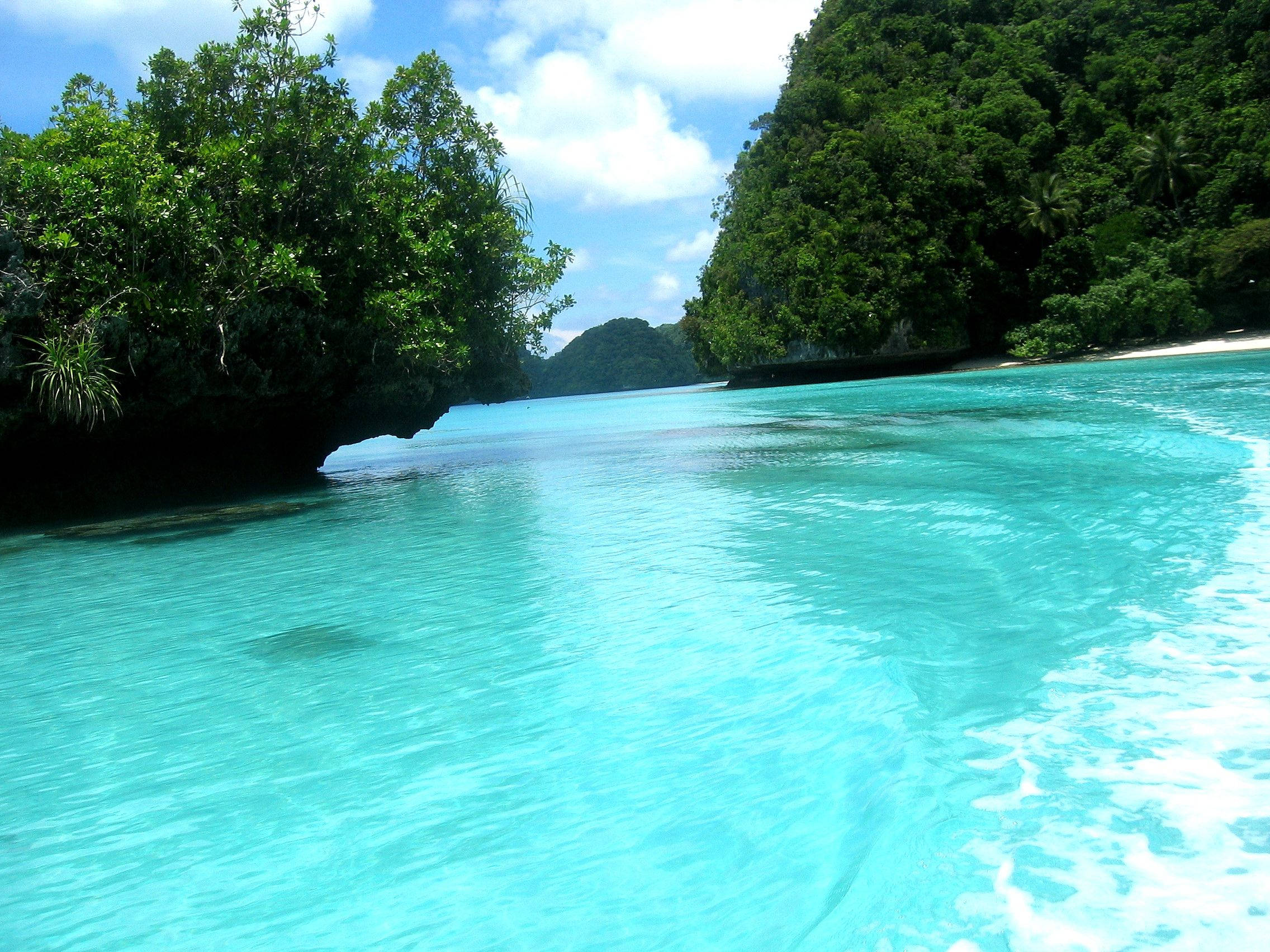 Palau 桌布 壁紙 — 清澈碧綠的海水拍打著白色沙灘，沙灘周圍是茂密的綠色叢林懸崖，上方是明亮的藍天。