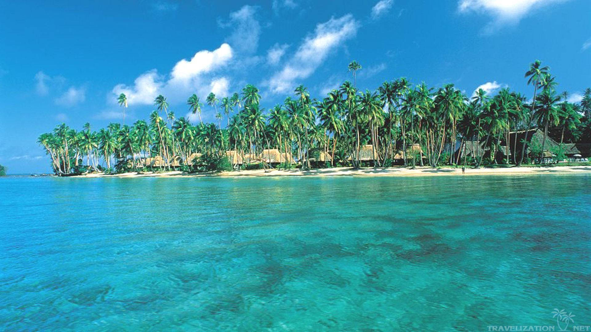 Fiji 桌布 壁紙 — 清澈碧綠的海水拍打著白色沙灘，沙灘兩旁種滿了茂密的綠色棕櫚樹和茅草屋，頭頂是明亮的藍天。
