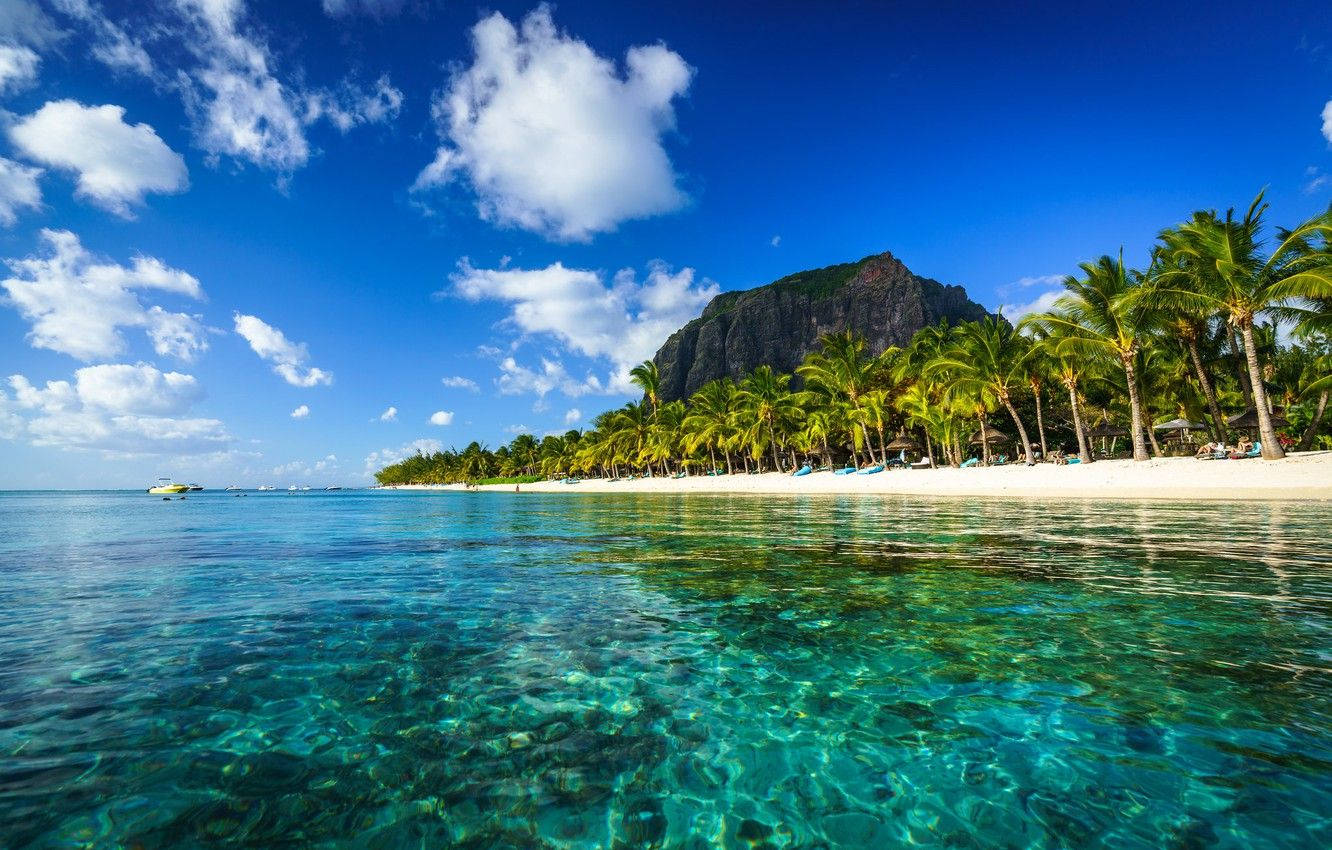 Mauritius 桌布 壁紙 — 清澈碧綠的海水拍打著白色沙灘，沙灘上種滿棕櫚樹，頭頂是晴朗的藍天和蓬鬆的白雲。