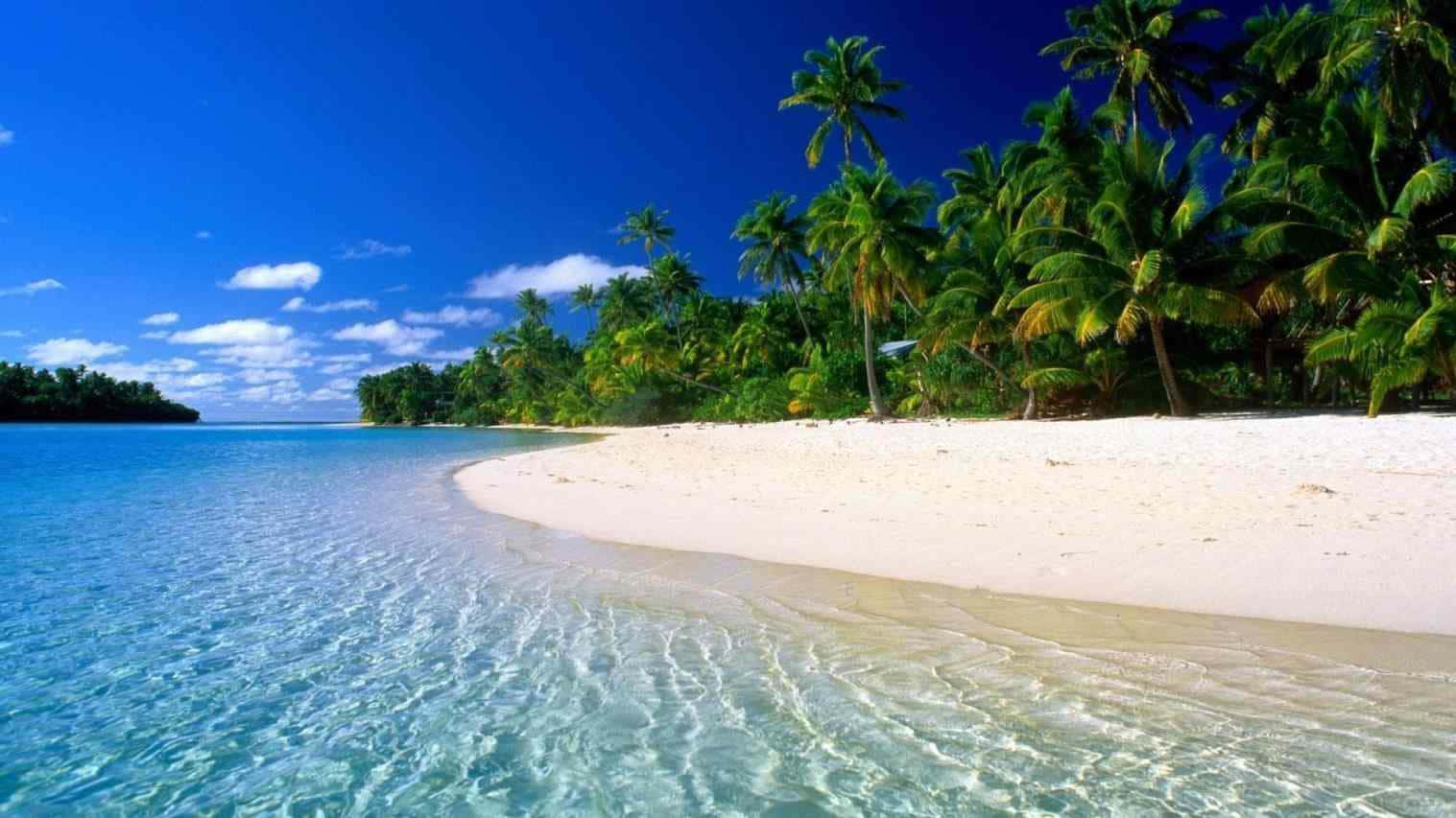 Hawaiian Beach 桌布 壁紙 — 清澈碧綠的海水拍打著純淨的白色沙灘，沙灘上種滿了茂密的綠色棕櫚樹，上方是湛藍的天空。