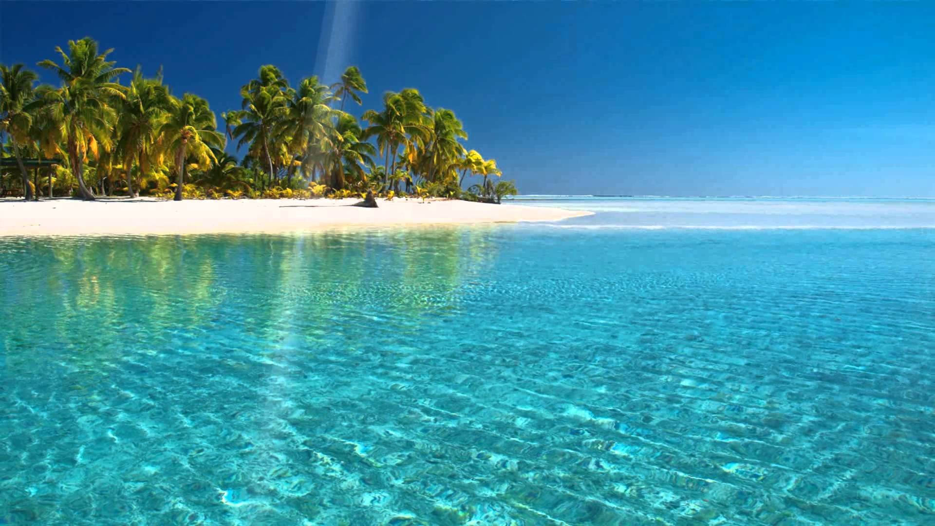 Tropical Beach 桌布 壁紙 — 清澈碧綠的海水輕拍著純淨的白色沙灘，沙灘兩旁種滿了茂密的綠色棕櫚樹，上方是湛藍的天空。