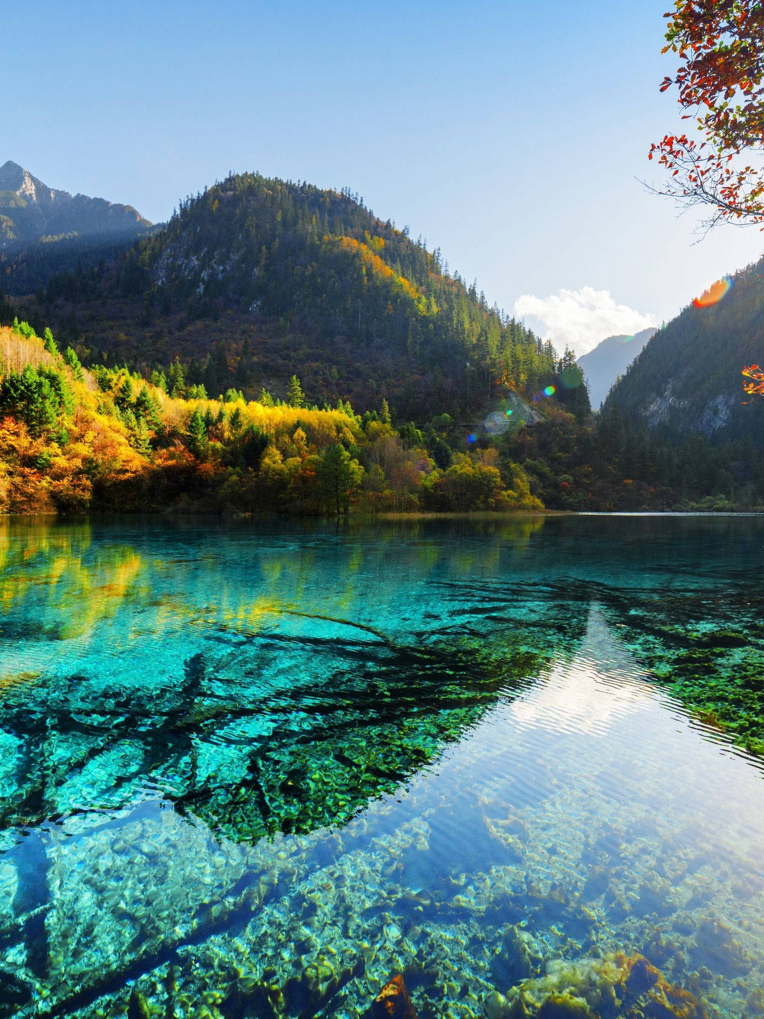 森林 桌布 壁紙 — 清澈碧綠的湖水映照著秋日山巒和鮮豔的樹葉，在明亮的藍天下。