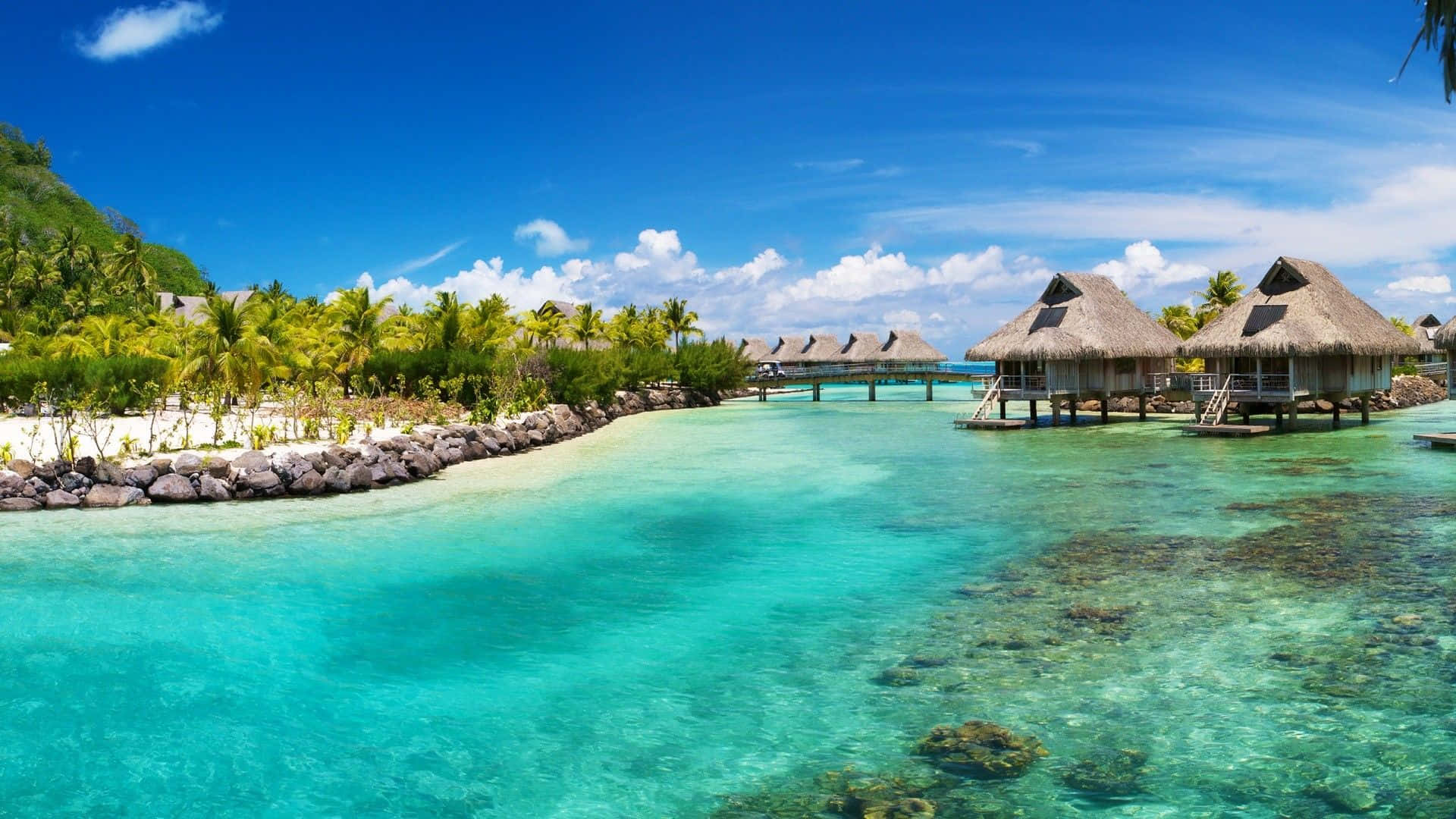 Relaxing Desktop 桌布 壁紙 — 清澈碧綠的潟湖，水上小屋和茂密的棕櫚樹在明亮的藍天下。