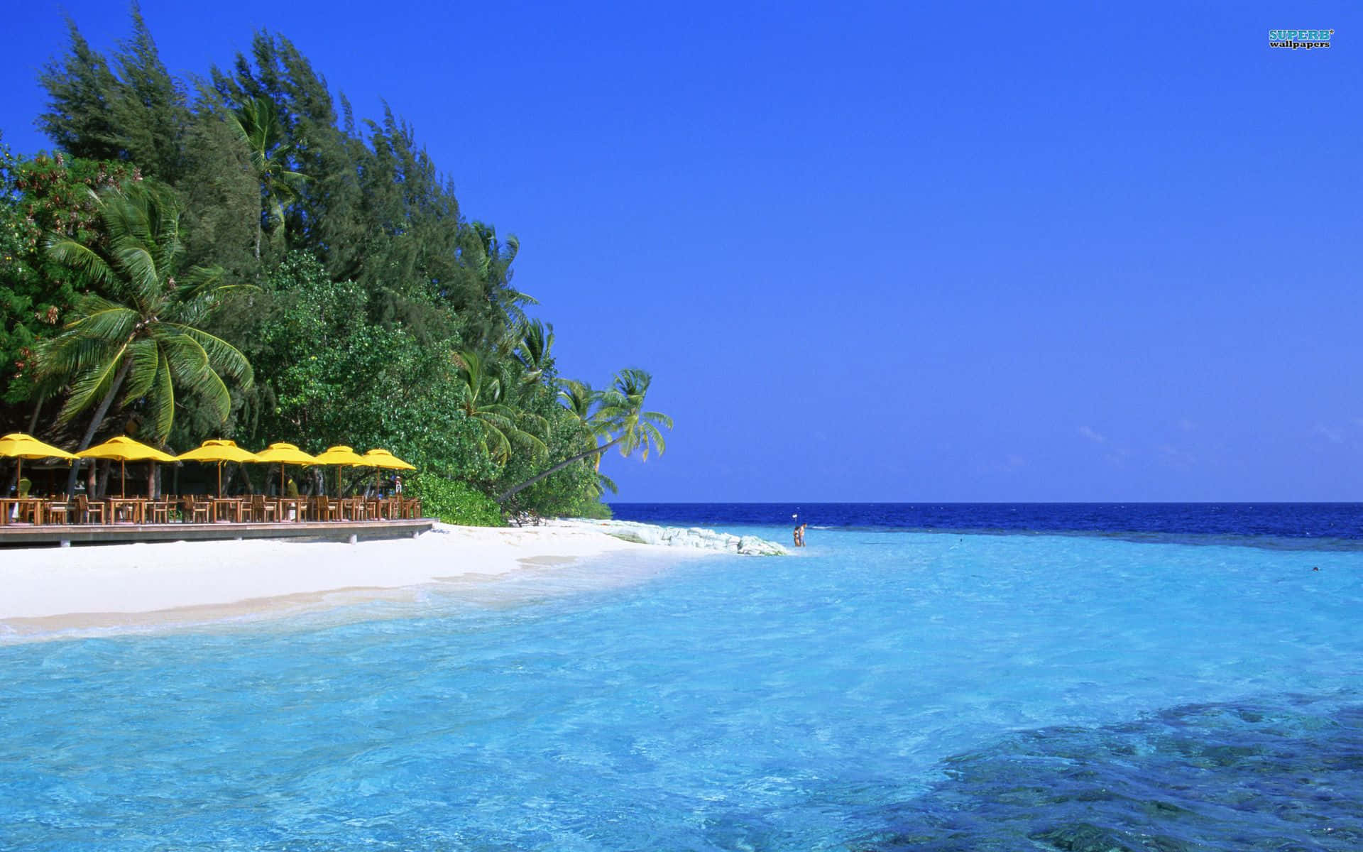 Maldives Beach 桌布 壁紙 — 清澈藍天下，一個原始熱帶海灘，擁有碧綠海水、白色沙灘和黃色遮陽傘。