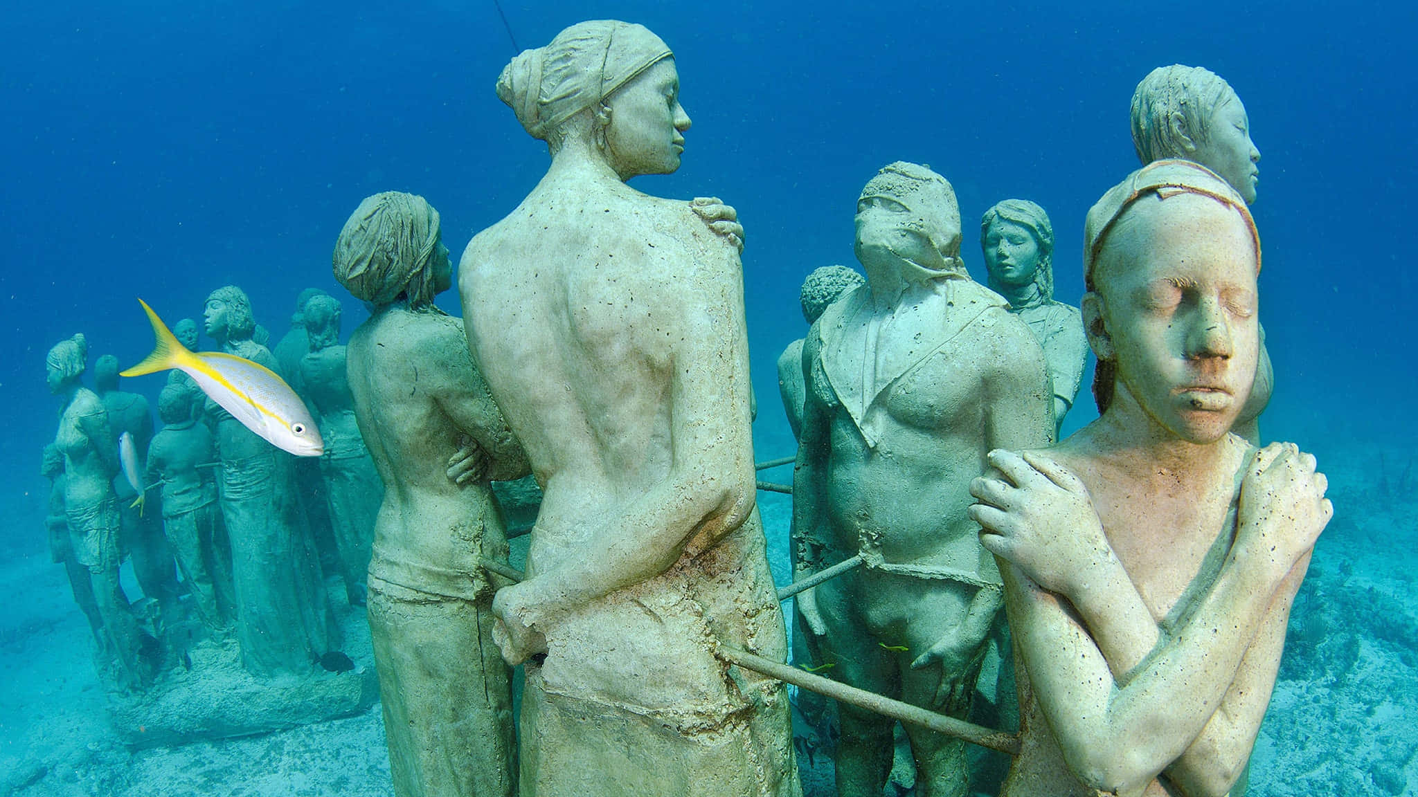 Underwater Ocean 桌布 壁紙 — 清澈藍色海水中，黃色魚兒游過平靜人形雕像的水底雕像。