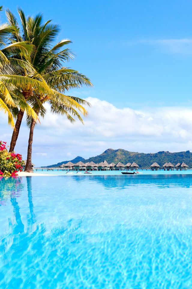 Beach Getaway 桌布 壁紙 — 清澈見底的無邊際泳池與碧綠海洋融為一體，旁邊有搖曳的棕櫚樹和水上平房，上方是明亮的藍天。