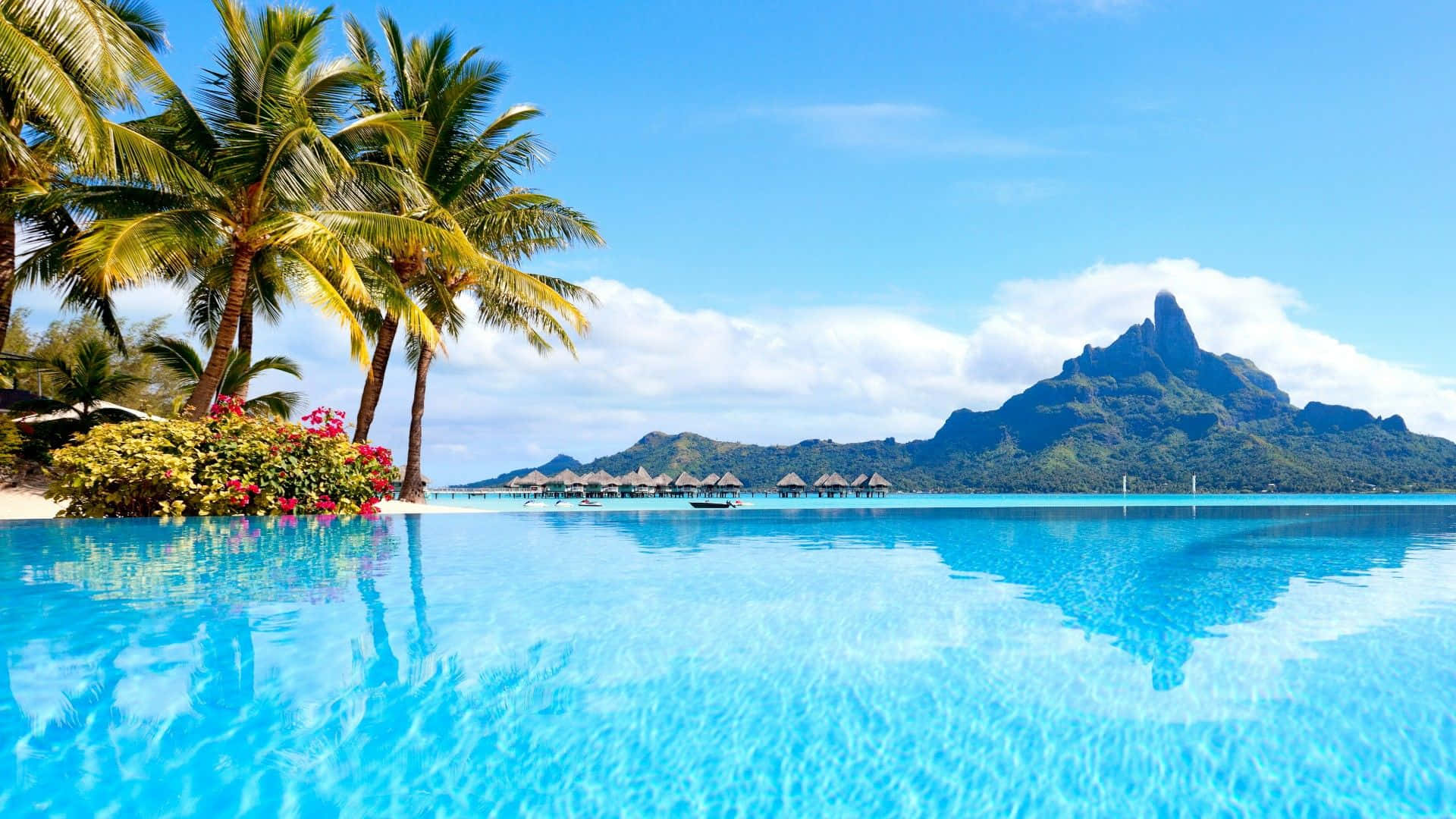 Bora Bora 桌布 壁紙 — 清澈見底的無邊際泳池與藍綠色潟湖融為一體，周圍環繞著棕櫚樹和火山島，在明亮的藍天下。