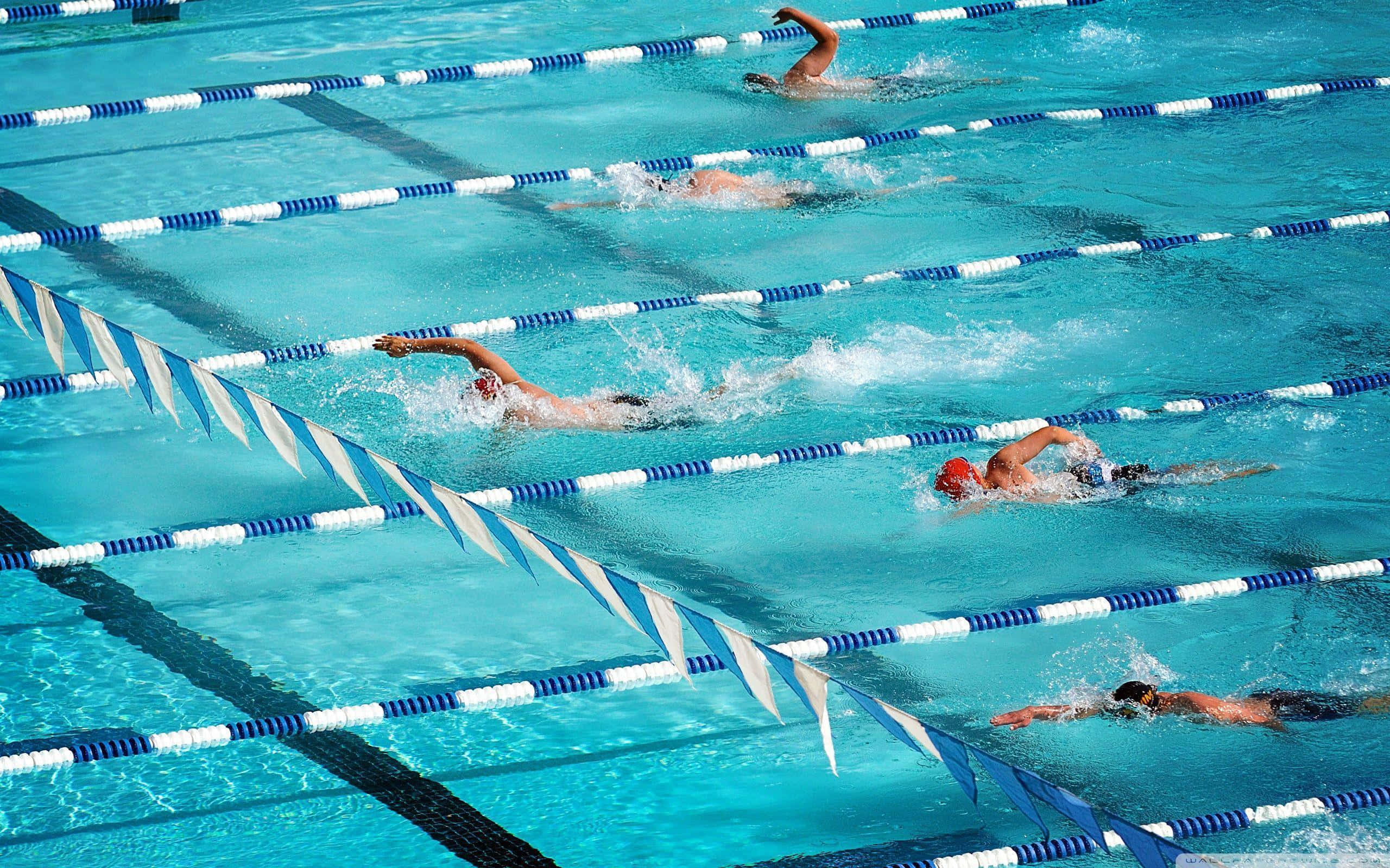 Swimming 桌布 壁紙 — 游泳運動員在明亮的日光下，於競賽泳池的清澈藍色泳道中奮力前進。