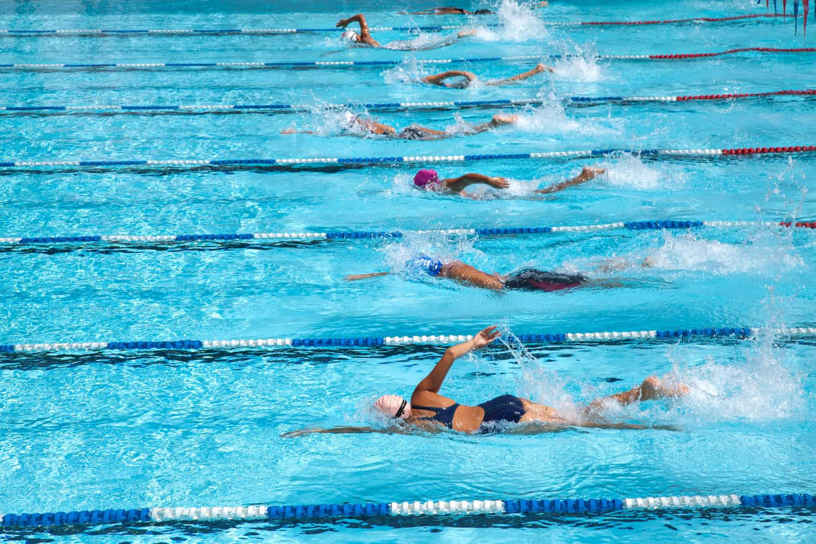 Swimming 桌布 壁紙 — 游泳運動員在明亮的藍色泳池中奮力游過泳道，在晴朗的日光下激起動態水花。