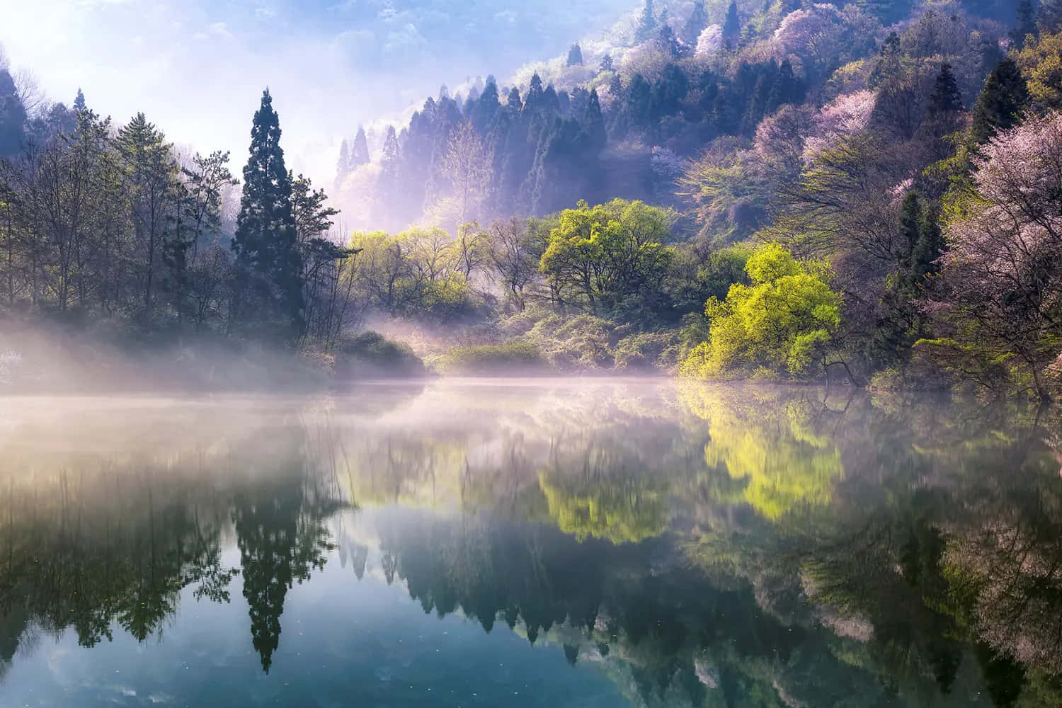 湖泊、樹木與薄霧背景 壁紙