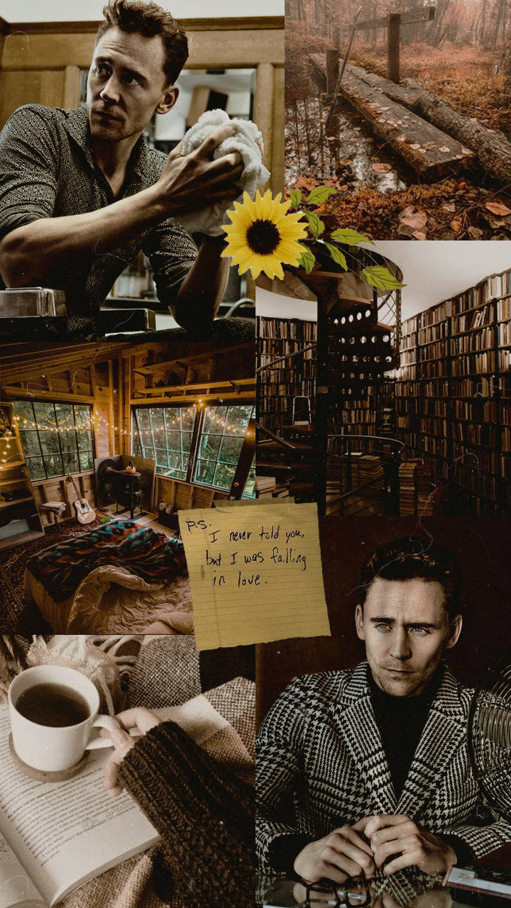 Tom 桌布 壁紙 — 湯姆·希德斯頓在質樸環境、秋林、書架和向日葵中的舒適拼貼畫。