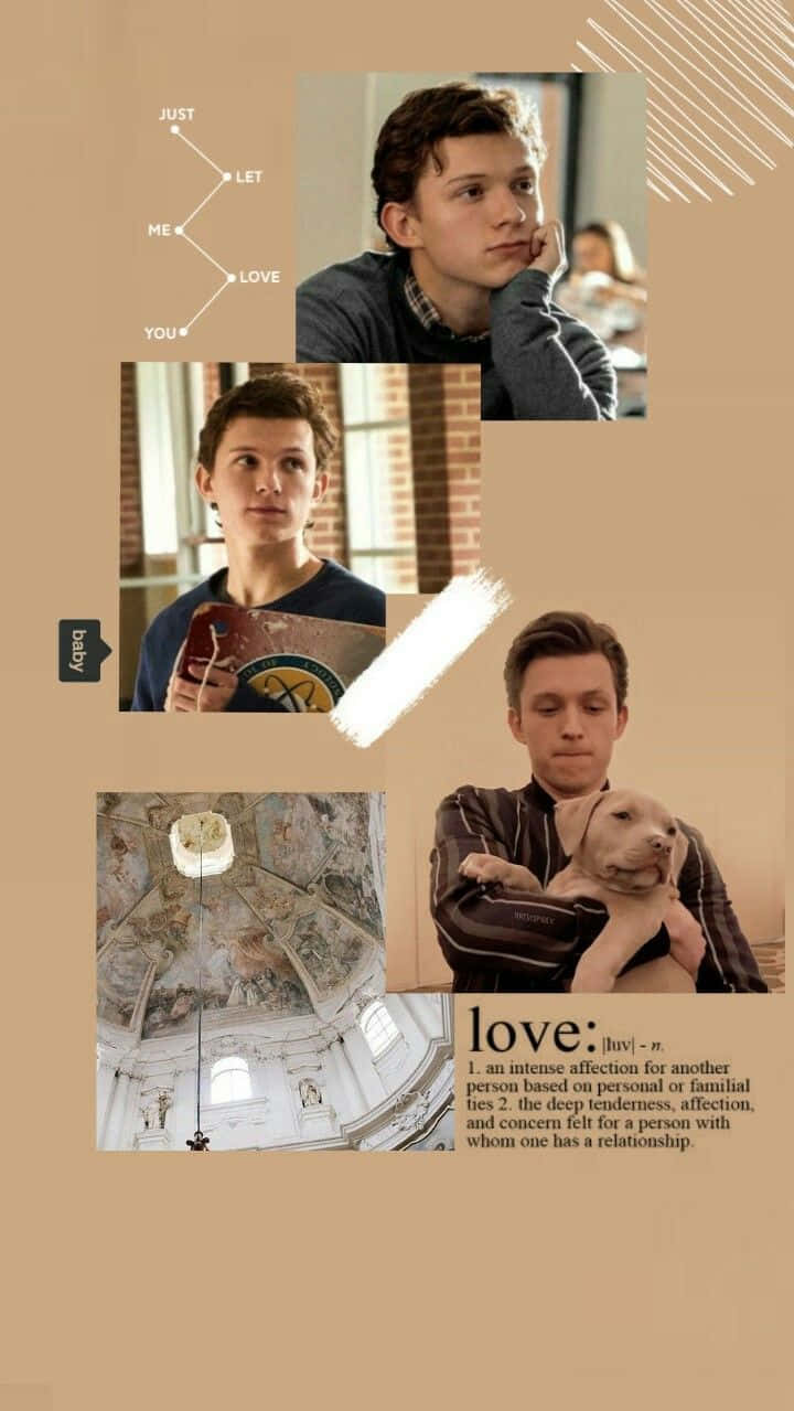 Tom Holland Aesthetic 桌布 壁紙 — 湯姆·霍蘭德在各種溫柔時刻抱著小狗、若有所思地望著米色背景，並配上愛情主題文字的拼貼畫。