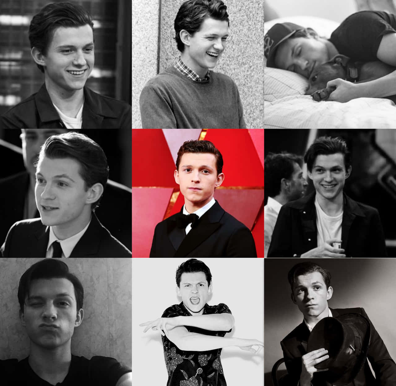 Tom Holland Aesthetic 桌布 壁紙 — 湯姆·霍蘭德的黑白拼貼畫，捕捉他各種自然和擺拍的瞬間，展現他的表情範圍。