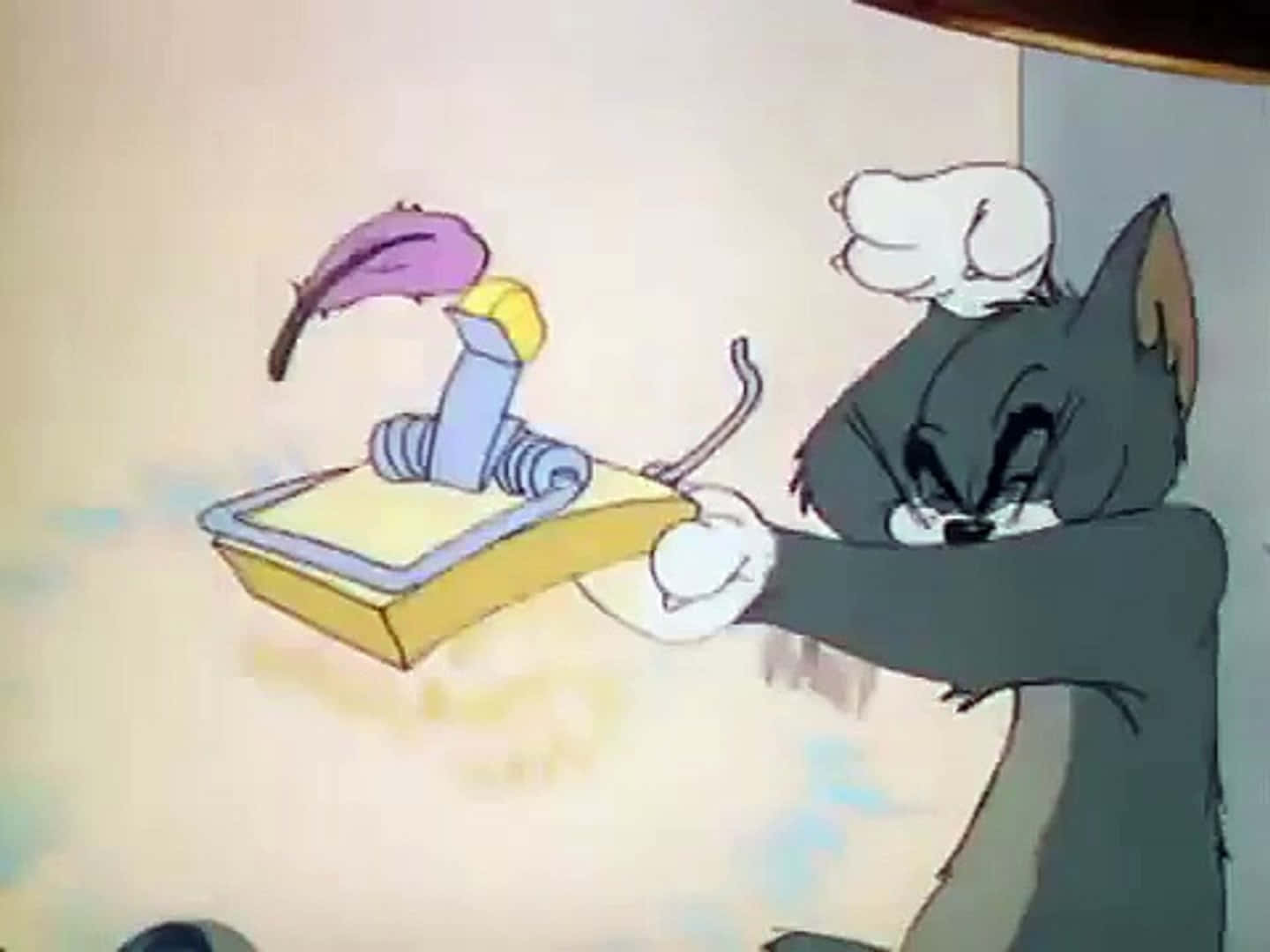 Tom And Jerry Funny 桌布 壁紙 — 湯姆貓憤怒地拿著一個捕鼠器，裡面有一隻紫色羽毛老鼠，背景簡潔。