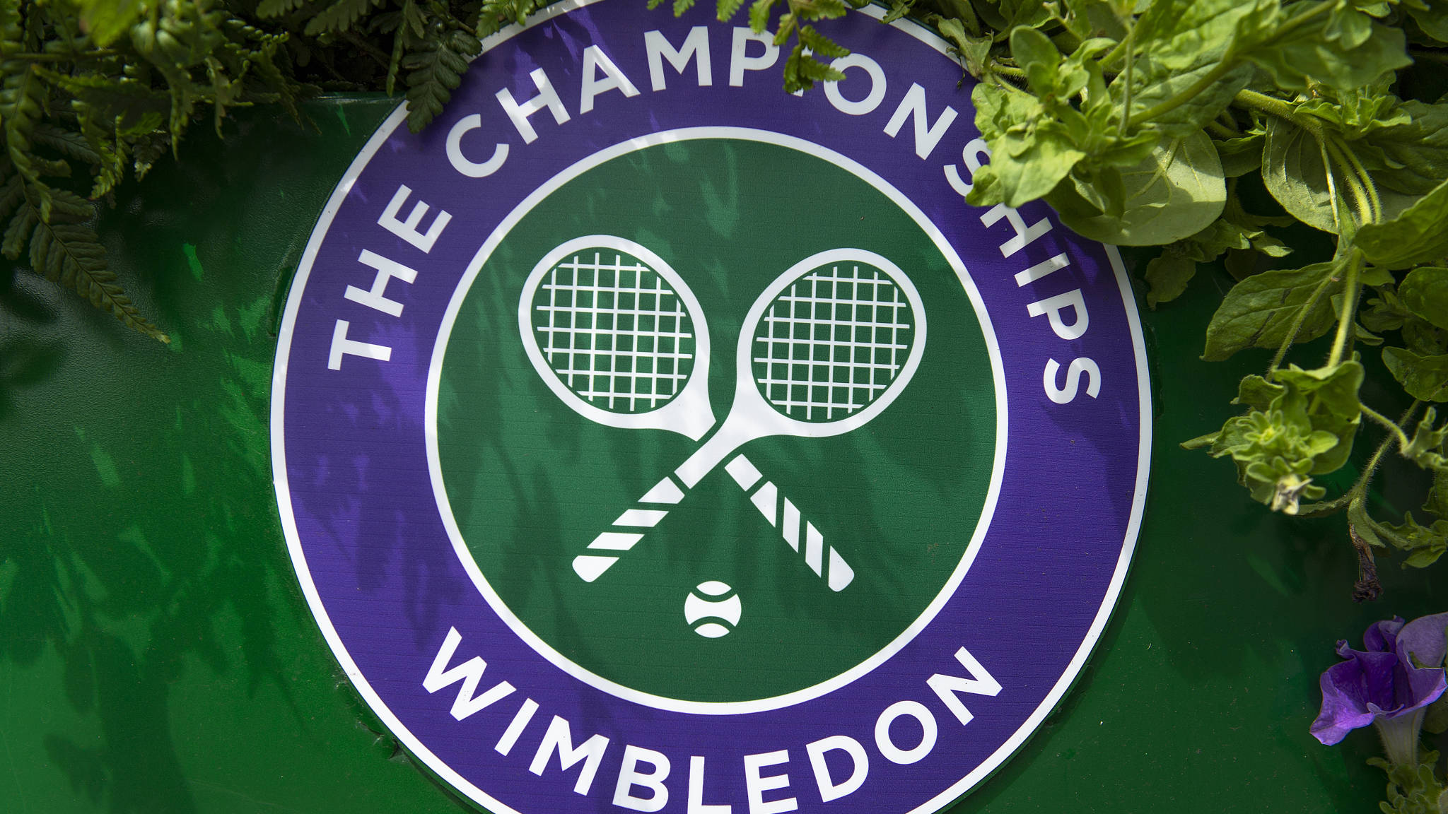 Wimbledon 桌布 壁紙 — 溫布頓錦標賽標誌，交叉的網球拍和球被茂密的綠色蕨類植物和紫色花朵環繞。