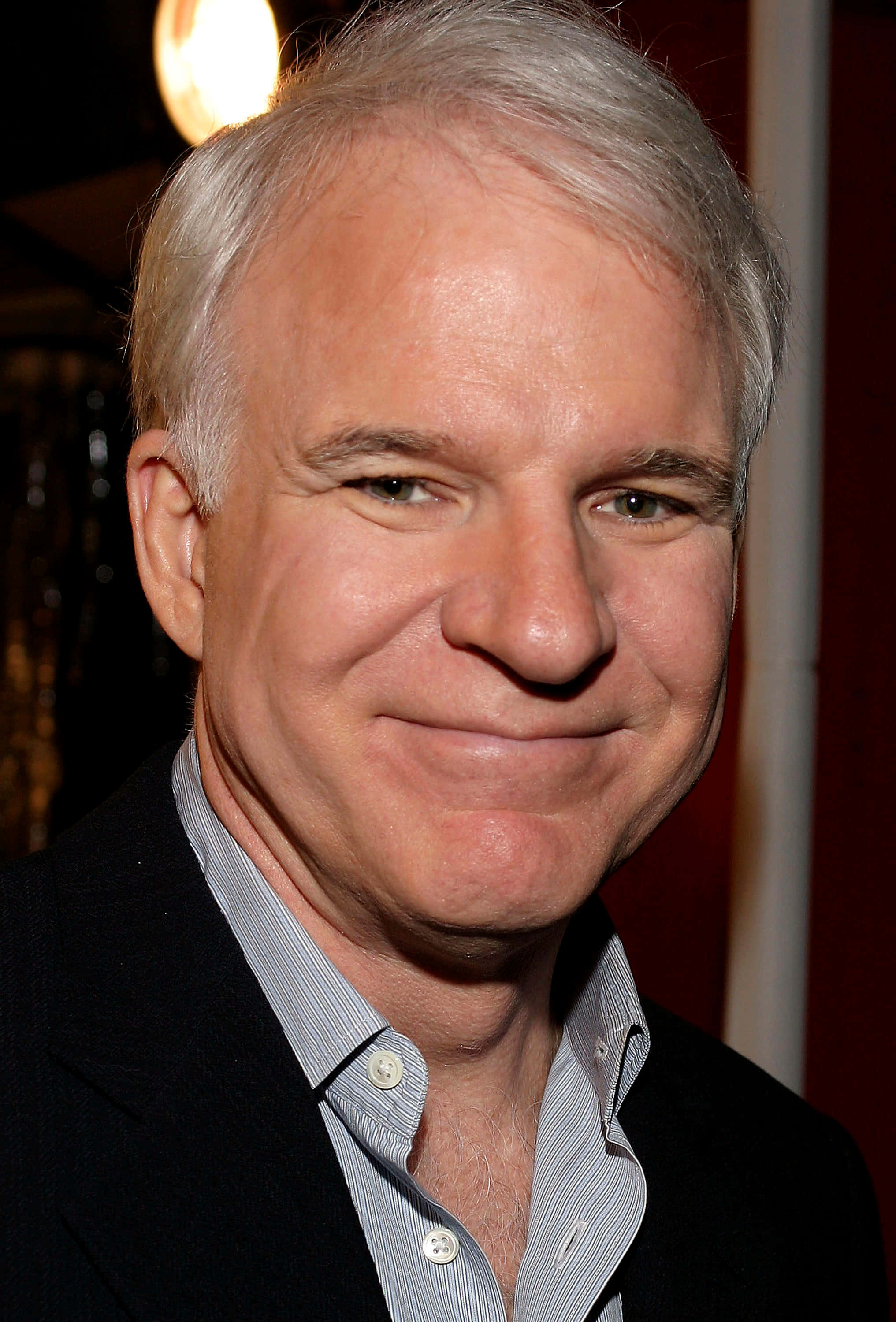 steve martin 桌布 壁紙 — 溫暖室內燈光下，一位灰髮微笑男士穿著深色西裝和條紋襯衫的特寫肖像。