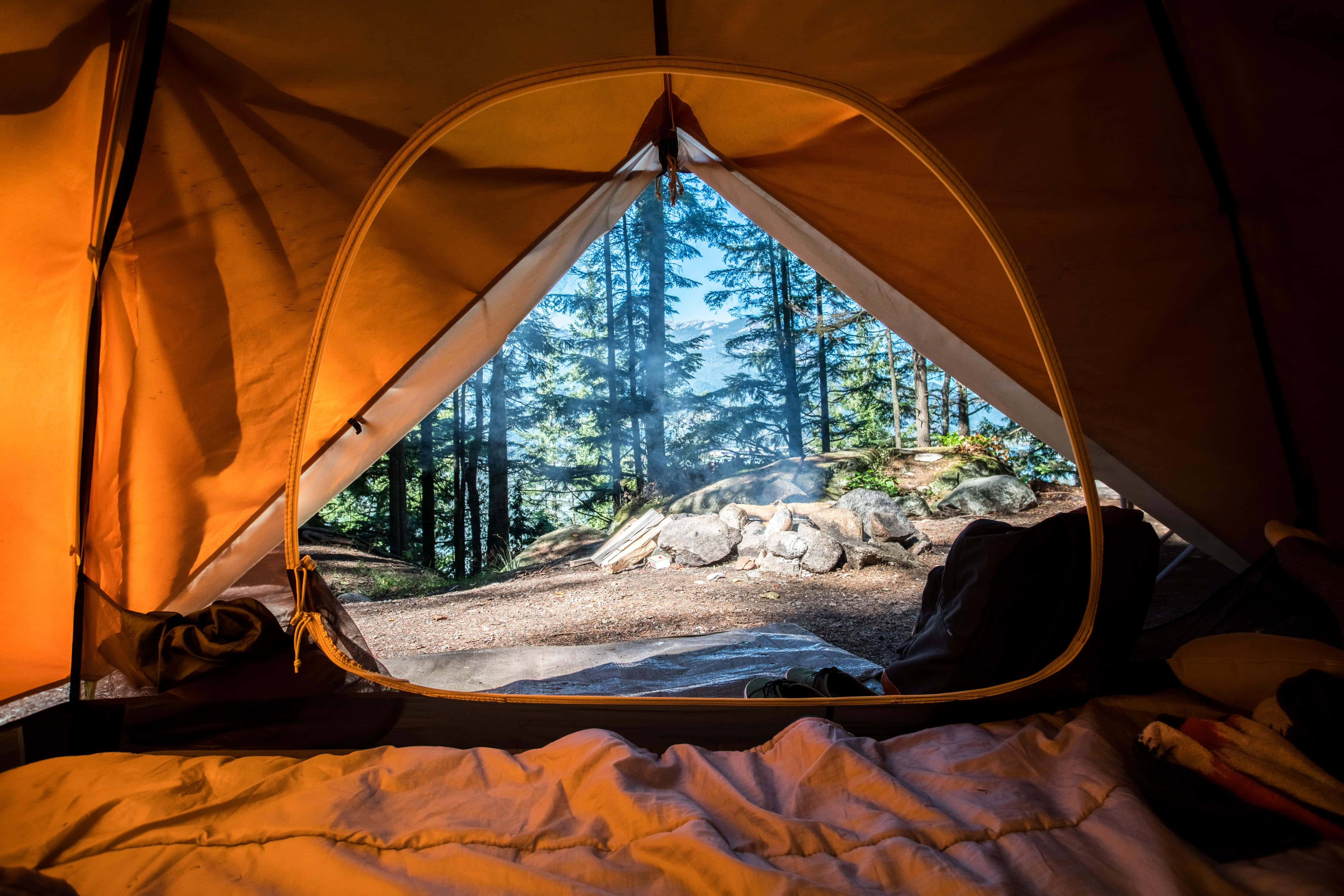 Camping 桌布 壁紙 — 溫暖照亮的帳篷內部框住了陽光普照的森林小徑，有高大的松樹和岩石地形。