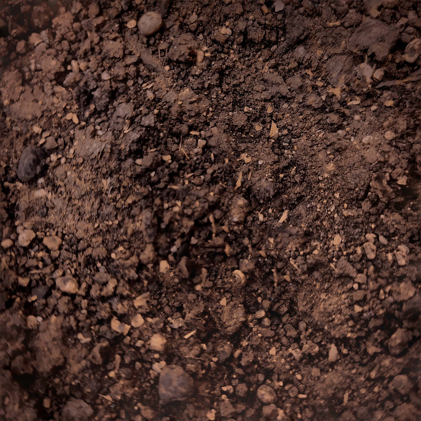Dirt 桌布 壁紙 — 溫暖燈光下，富含深棕色土壤的特寫，散落著小石頭和有機碎屑。