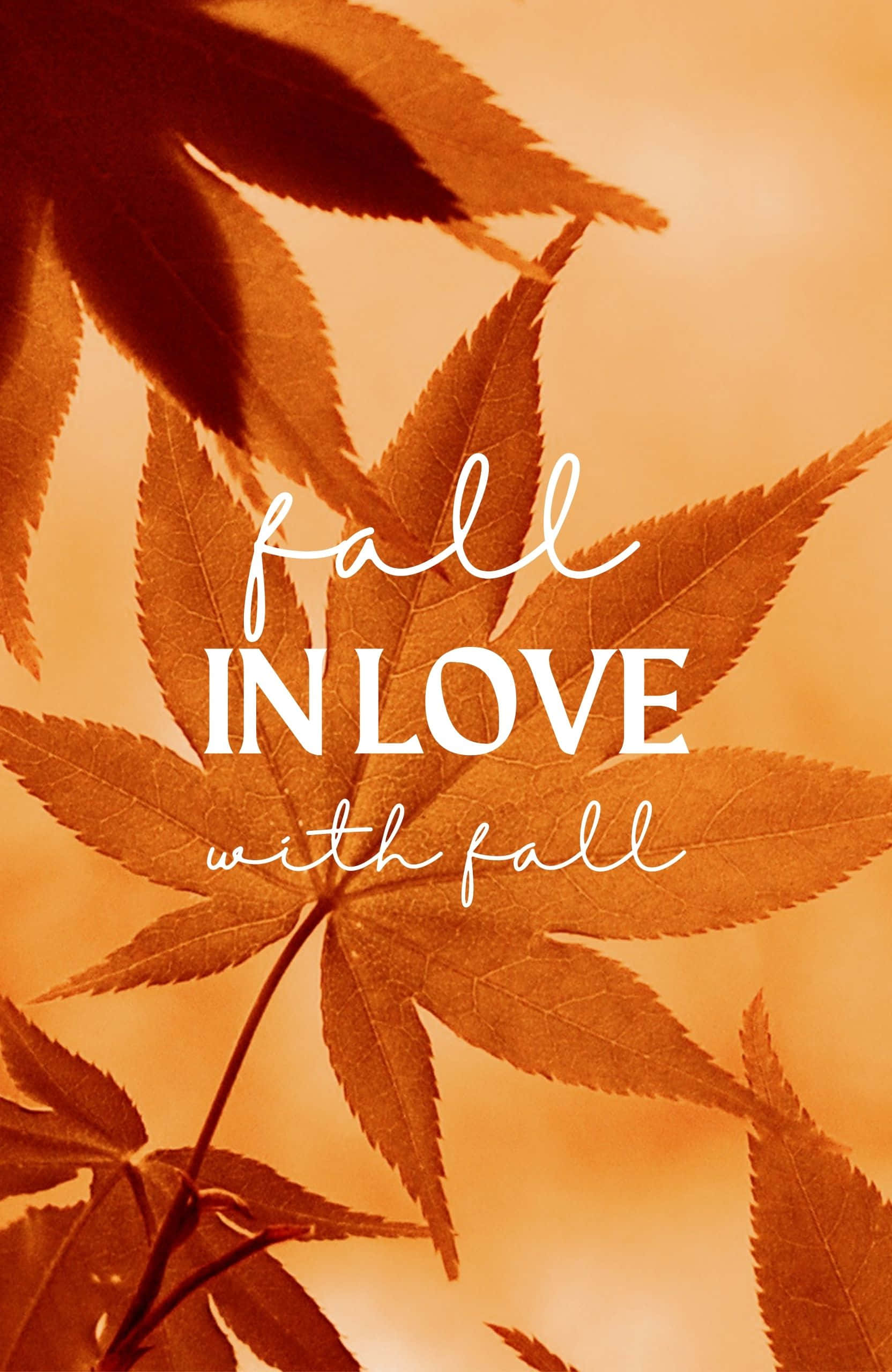 Best Fall 桌布 壁紙 — 溫暖琥珀色的楓葉襯托著優雅的白色文字，寫著「fall in love with fall」，背景為柔和漸變色。