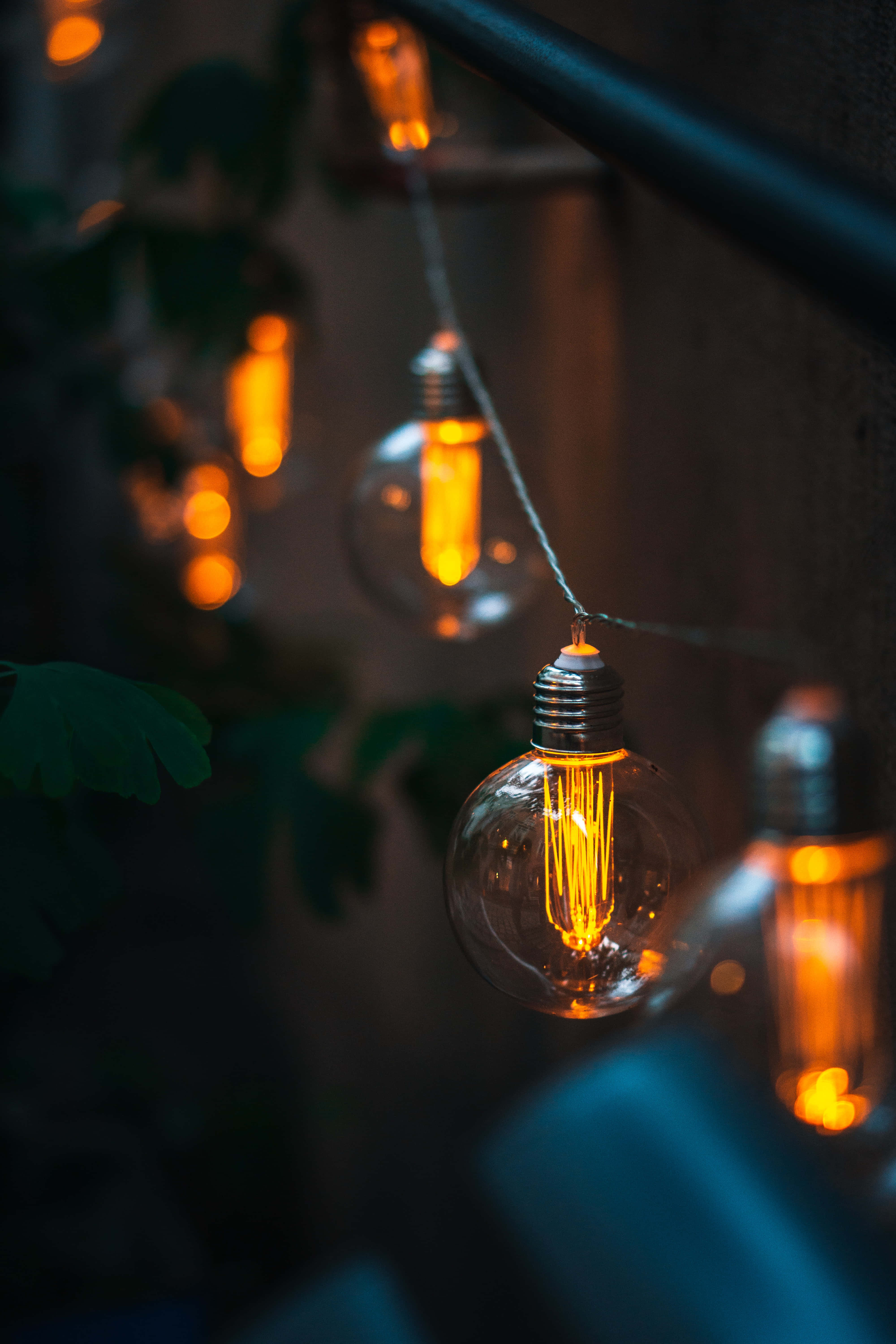 Light 桌布 壁紙 — 溫暖發光的復古愛迪生燈泡掛在一條繩子上，背景是深色紋理牆壁，帶有柔和的綠色植物。
