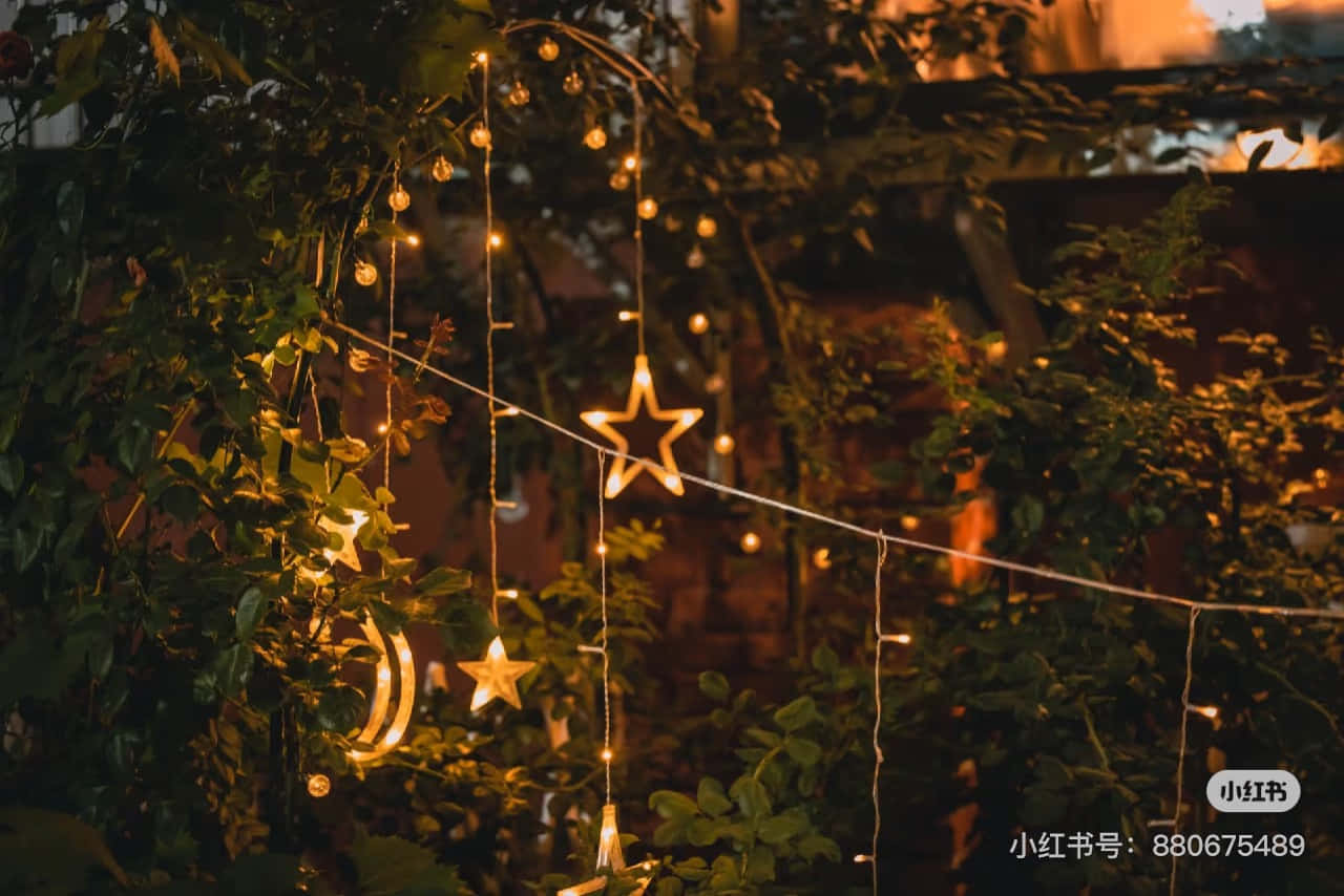Love and peace 壁紙 — 溫暖發光的星星形狀燈串在夜間垂掛在茂密的綠色樹葉中。