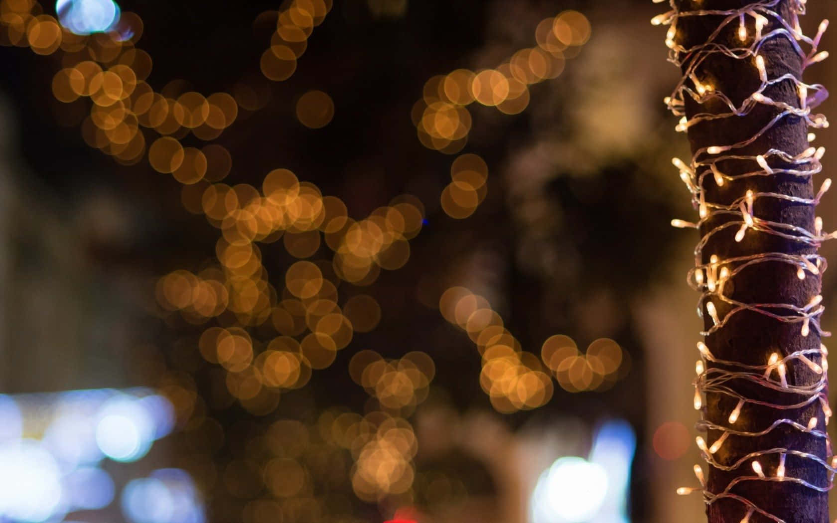 Christmas Light 桌布 壁紙 — 溫暖發光的燈串纏繞樹幹，背景是金色和藍色燈光的散景夜景。