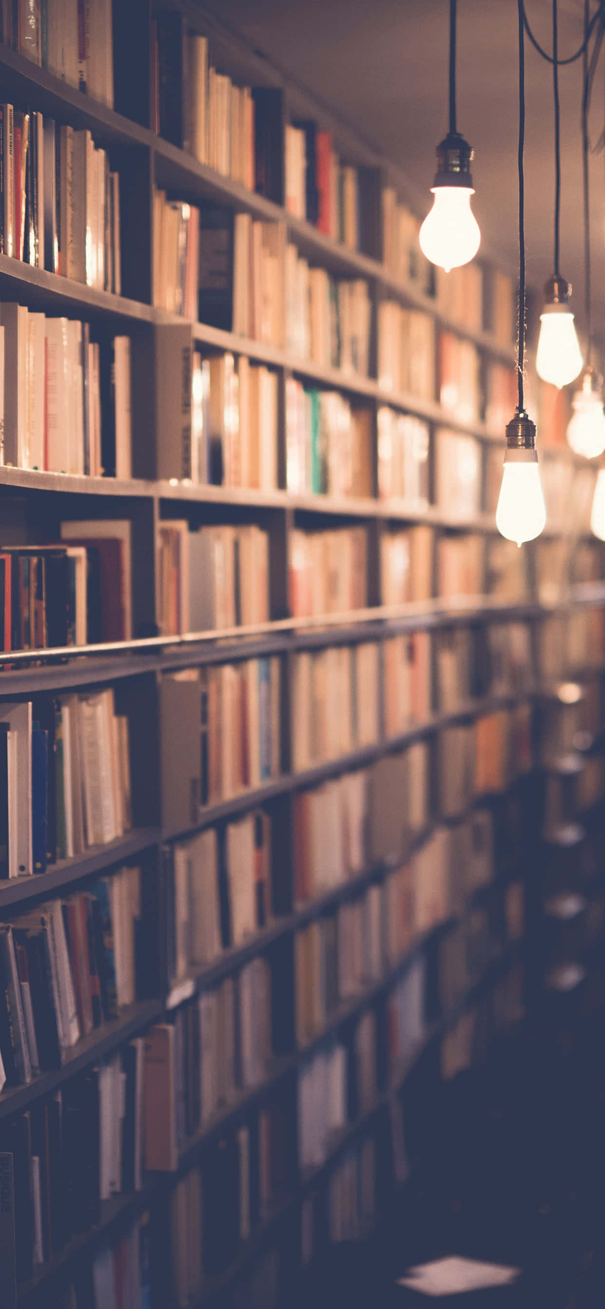 books 桌布 壁紙 — 溫暖發光的燈泡懸掛在舒適昏暗的圖書館通道中無盡的書架上方。