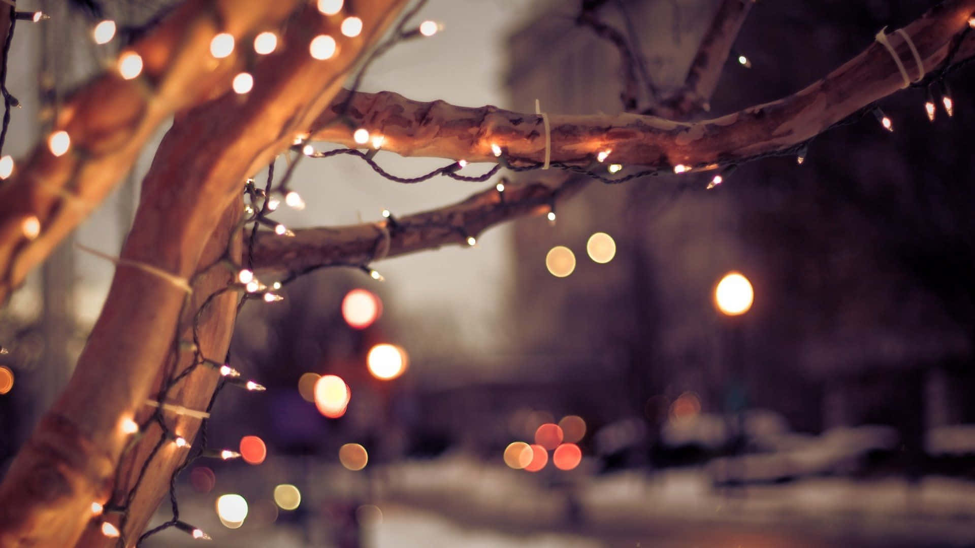 美學 桌布 壁紙 — 溫暖的串燈在光禿的樹枝上閃爍，映襯著雪夜都市背景和散景燈光。