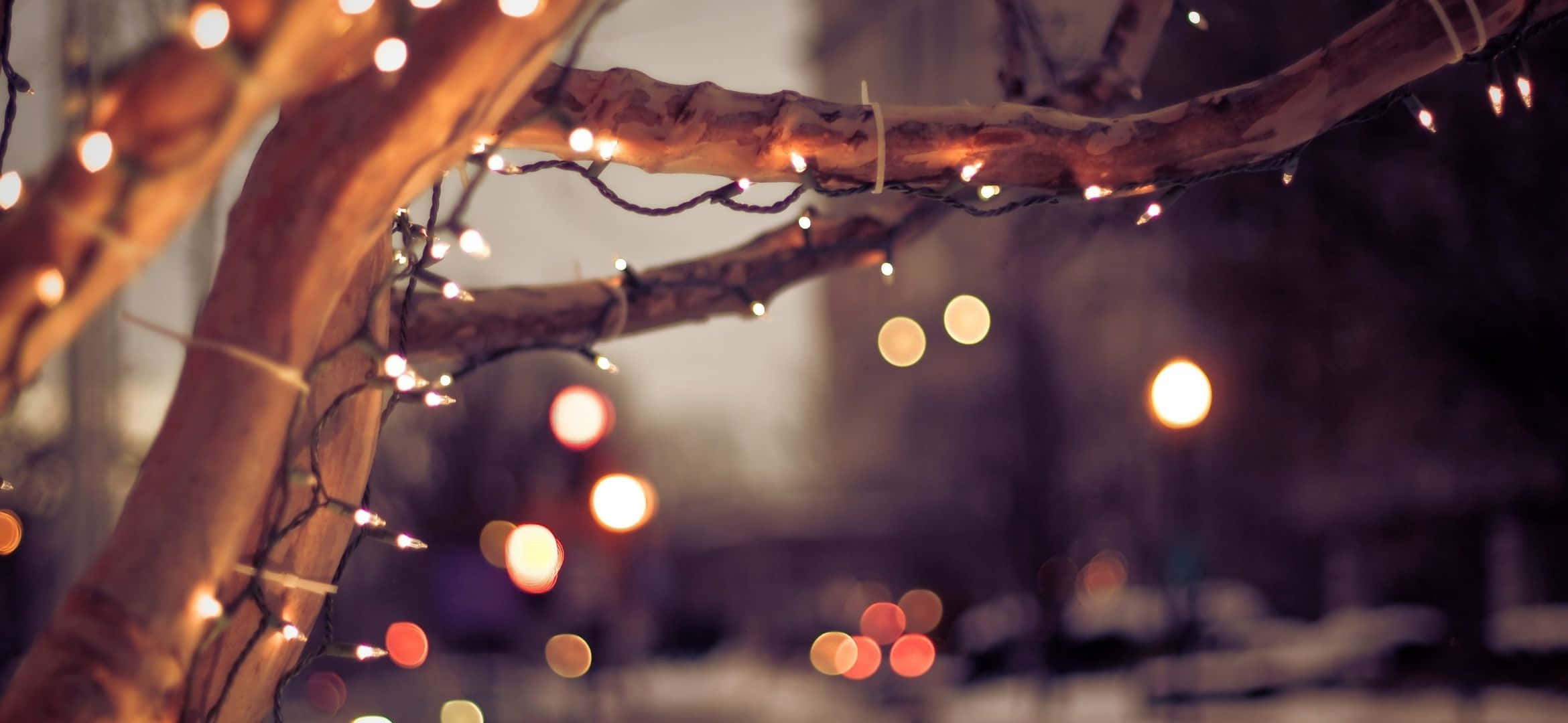 2340x1080 桌布 壁紙 — 溫暖的串燈在光禿的樹枝上閃爍，映襯著積雪的都市夜景和散景街燈。