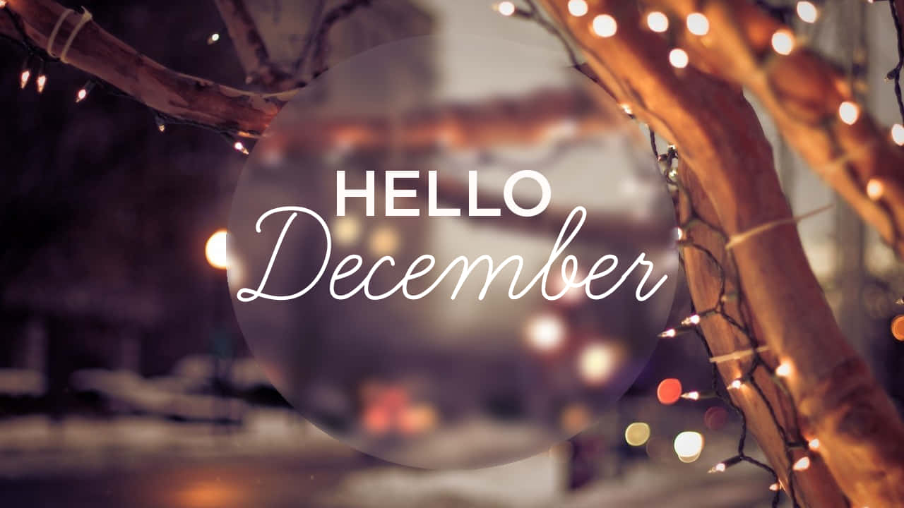 Hello December 桌布 壁紙 — 溫暖的串燈在光禿禿的樹枝上閃爍，圍繞著一個半透明的球體，上面寫著 hello december，背景是柔和模糊的冬夜景色。
