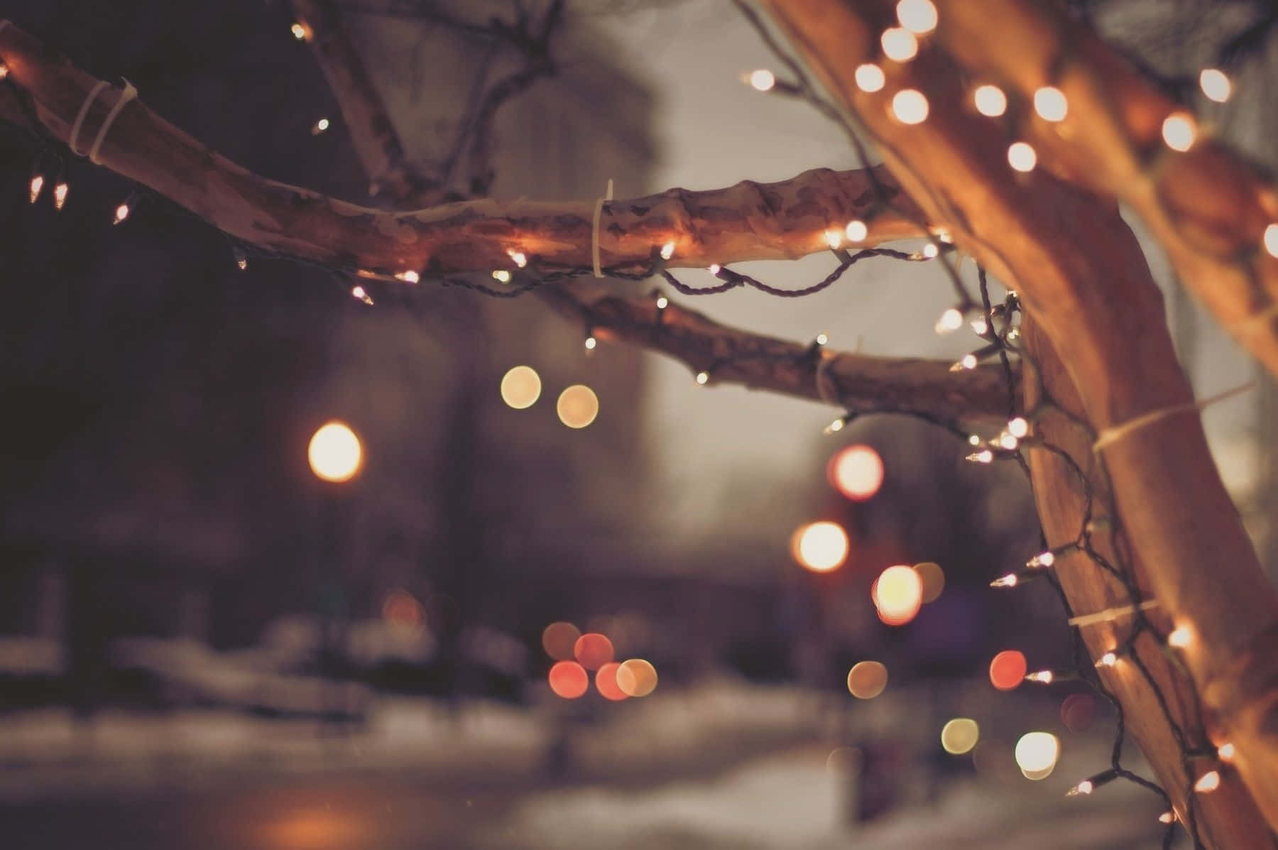 桌布 壁紙 — 溫暖的串燈懸掛在光禿的樹枝上，映襯著雪夜背景和散景城市燈光。