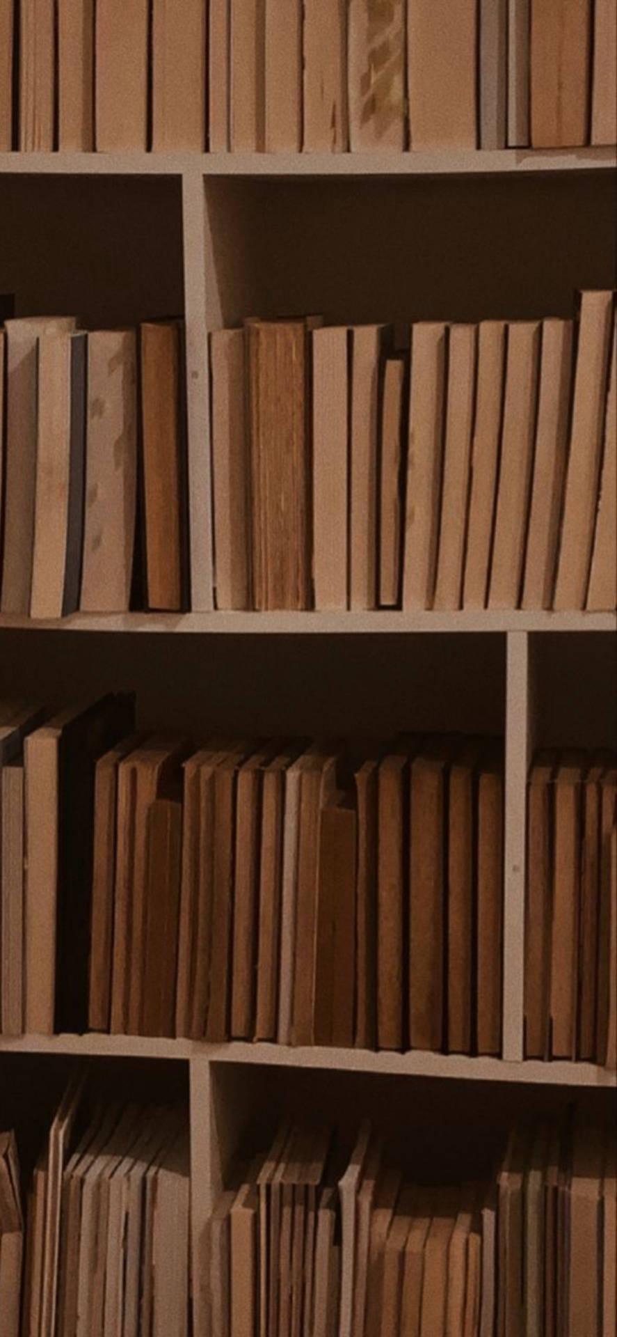 Bookshelf 桌布 壁紙 — 溫暖的木書架，在柔和環境燈光下整齊排列著書籍。