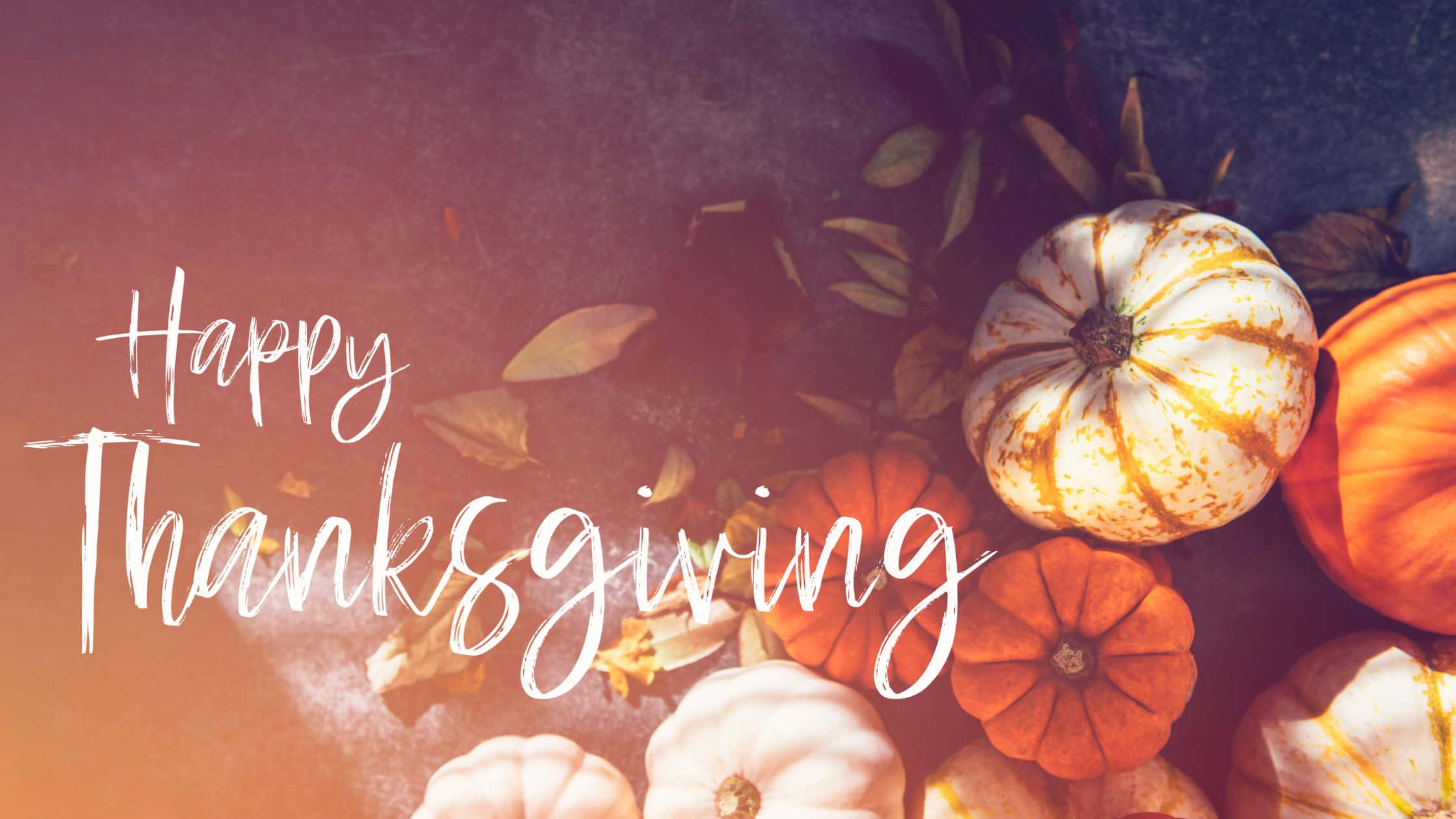 Thanksgiving Desktop 桌布 壁紙 — 溫暖的秋季平鋪圖，包含各式南瓜和樹葉，並以優雅的白色手寫字體寫上「Happy Thanksgiving」文字。