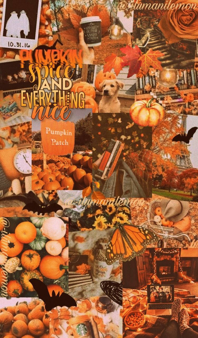 Pumpkin 桌布 壁紙 — 溫暖的秋季拼貼畫，以南瓜、樹葉、蝙蝠和舒適場景為特色，採用豐富的橙色色調。
