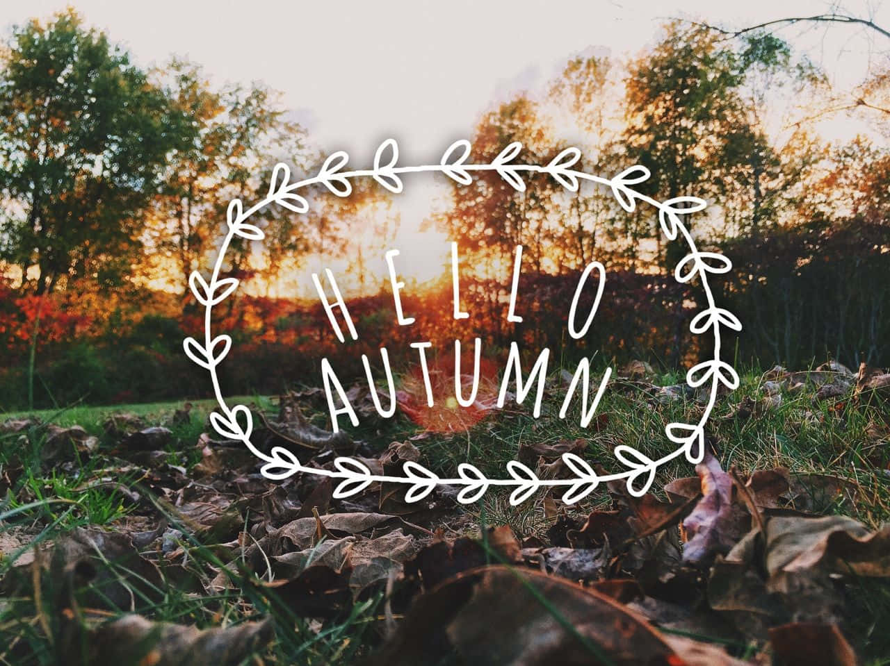 Hello Fall 桌布 壁紙 — 溫暖的秋日落日穿過樹林，落葉覆蓋草地，一個白色花環圖案寫著「你好秋天」。