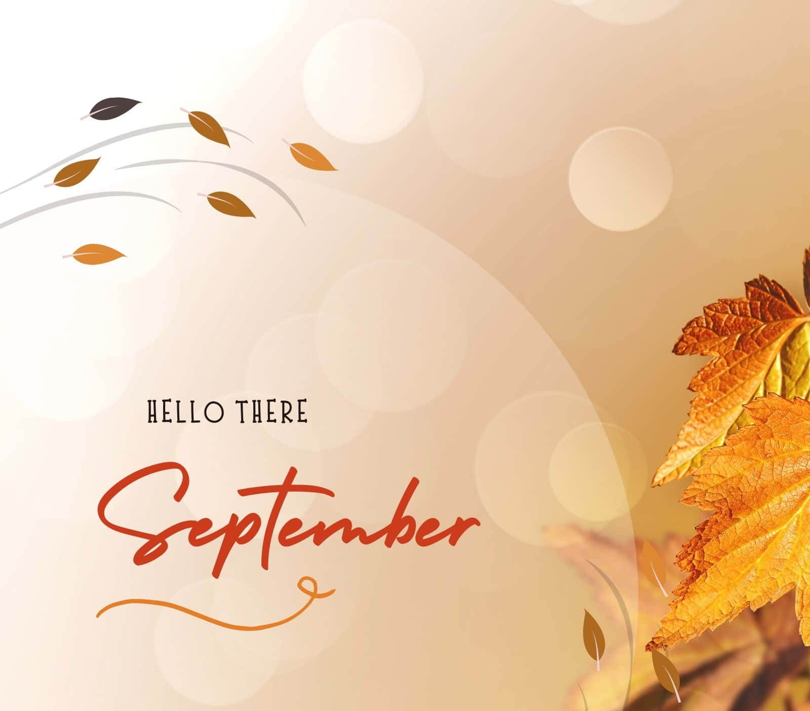 September 桌布 壁紙 — 溫暖的秋葉在優雅的手寫文字周圍旋轉，在柔和的散景背景下歡迎九月。