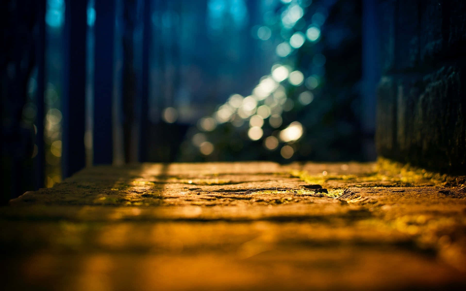 Wood Floor 桌布 壁紙 — 溫暖的金色光芒灑落在深藍色森林中長滿苔蘚的石階上，營造出寧靜而神秘的氛圍。