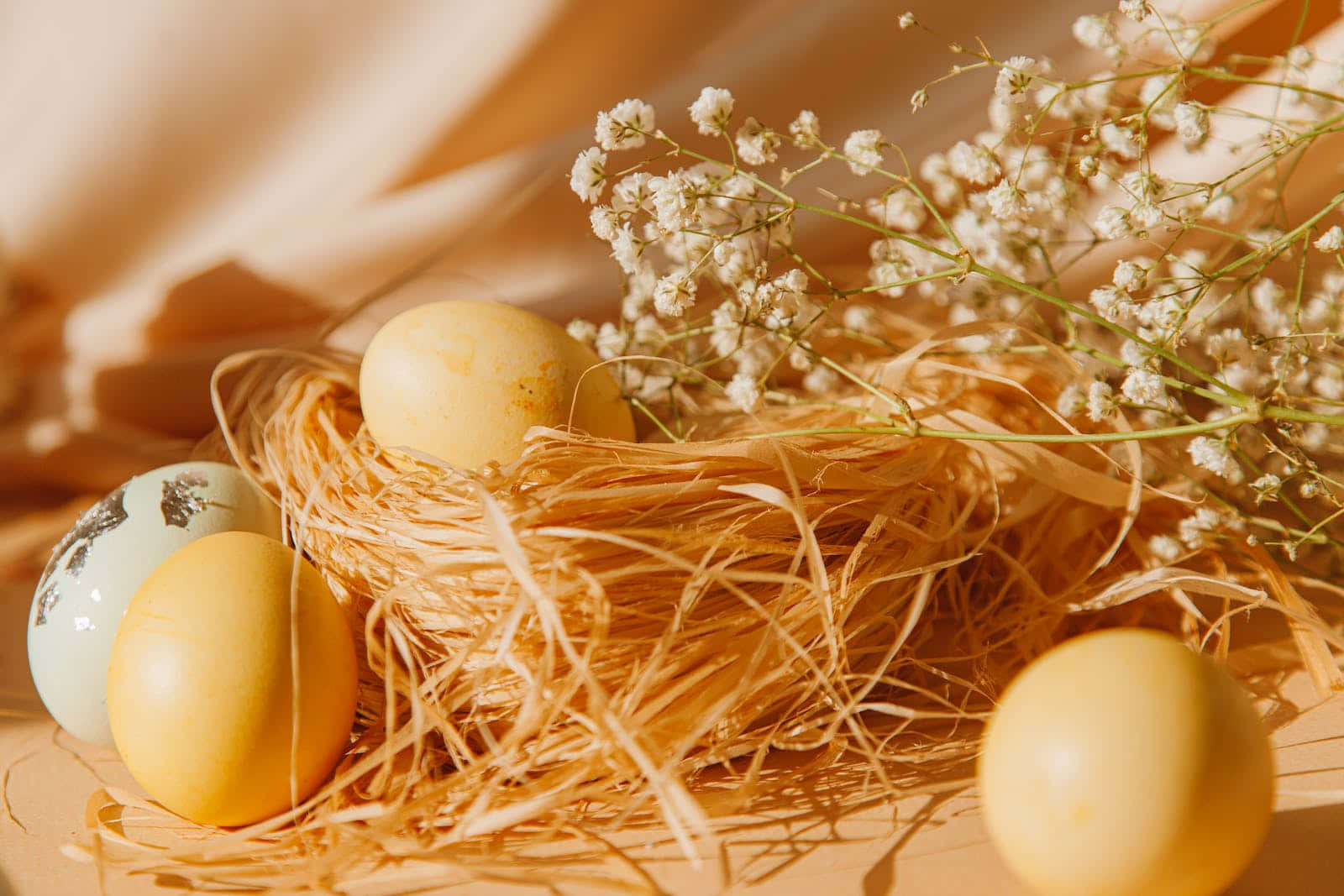Pastel Easter 桌布 壁紙 — 溫暖的陽光灑落在一個質樸的鳥巢上，巢內有斑點蛋和精緻的滿天星花朵。