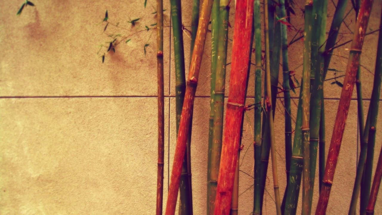 720p Bamboo 桌布 壁紙 — 溫暖紅色和綠色的高大竹莖，襯著帶有稀疏葉子的紋理米色瓷磚牆。