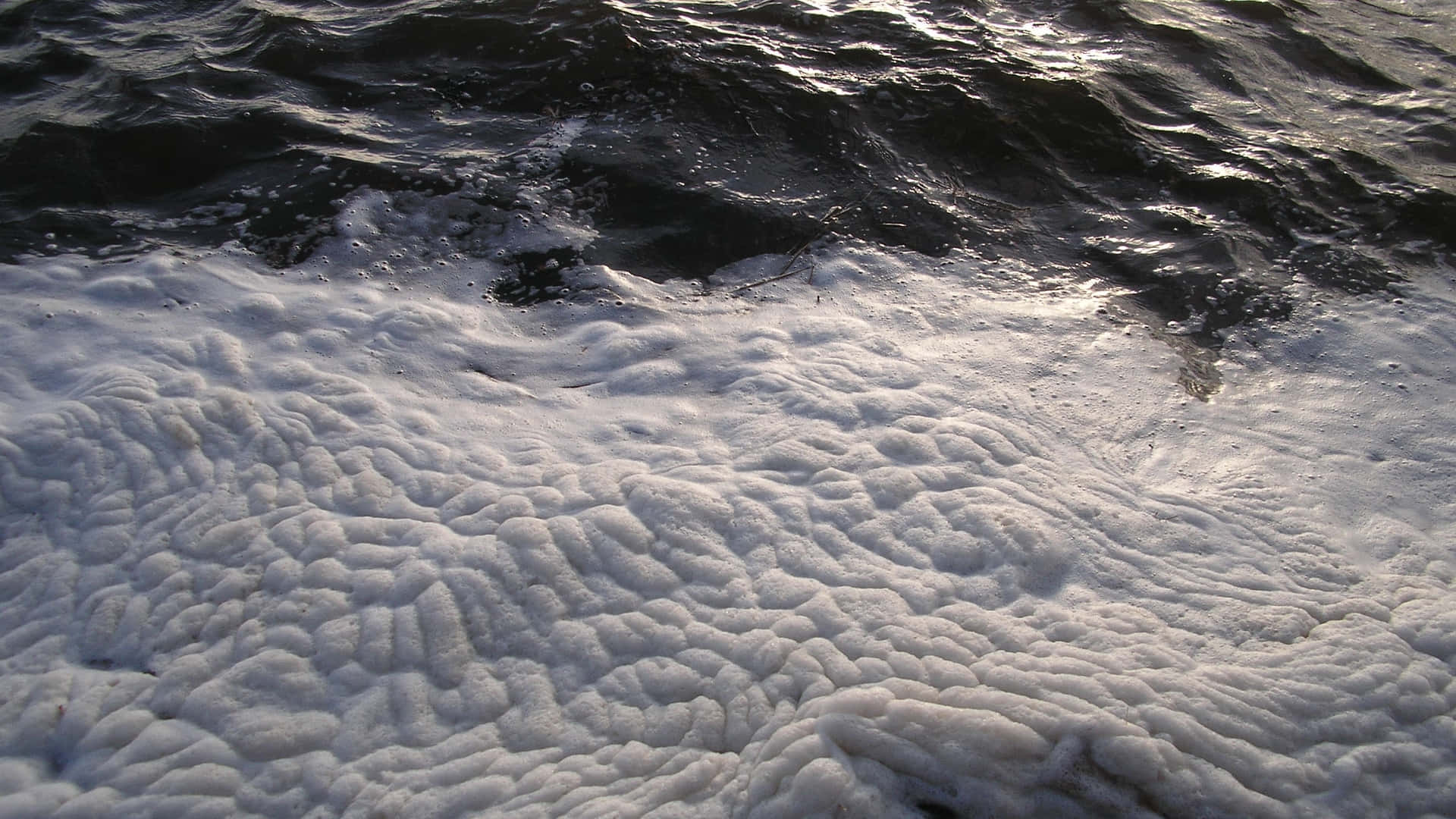 Sea Foam. 壁紙 — 溫暖陽光下，帶紋理的白色海浪泡沫滾過暗色漣漪水面的特寫。