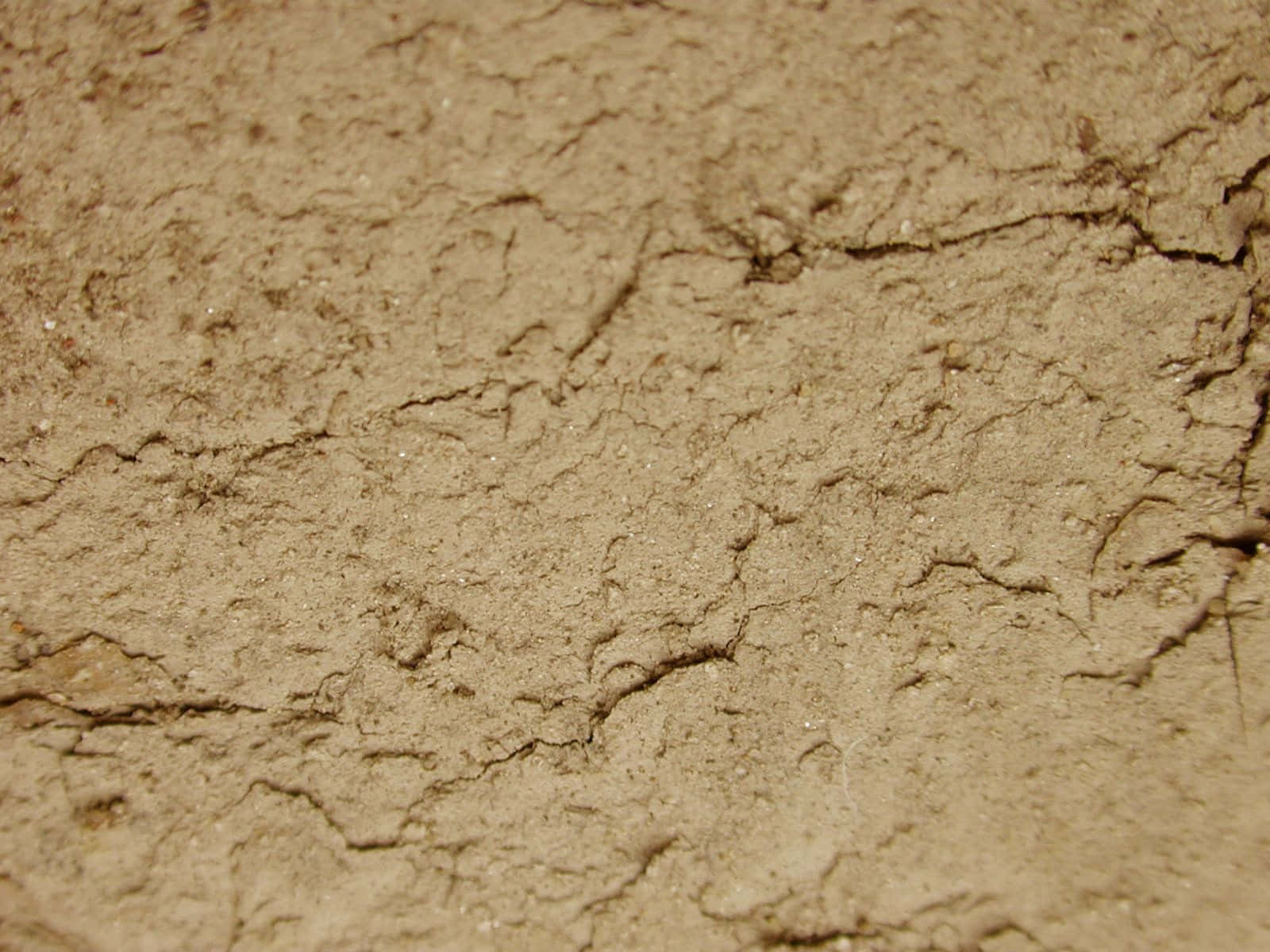 Dirt 桌布 壁紙 — 溫暖陽光下乾裂土地的近距離特寫，展現出乾燥土壤的紋理。