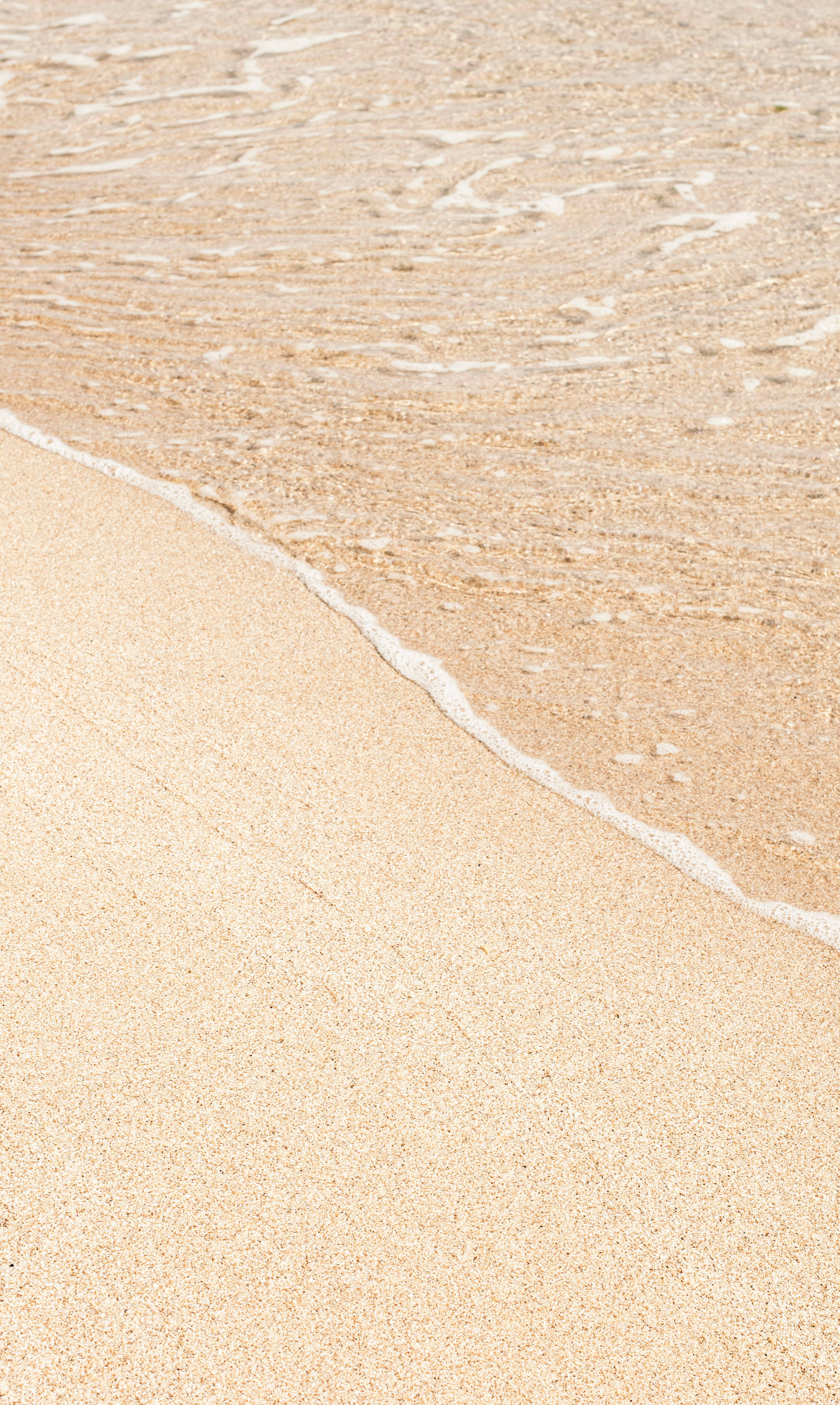 sand 桌布 壁紙 — 溫柔的海浪帶著白色泡沫親吻著細膩的金色沙灘，呈現寧靜的海岸景色。