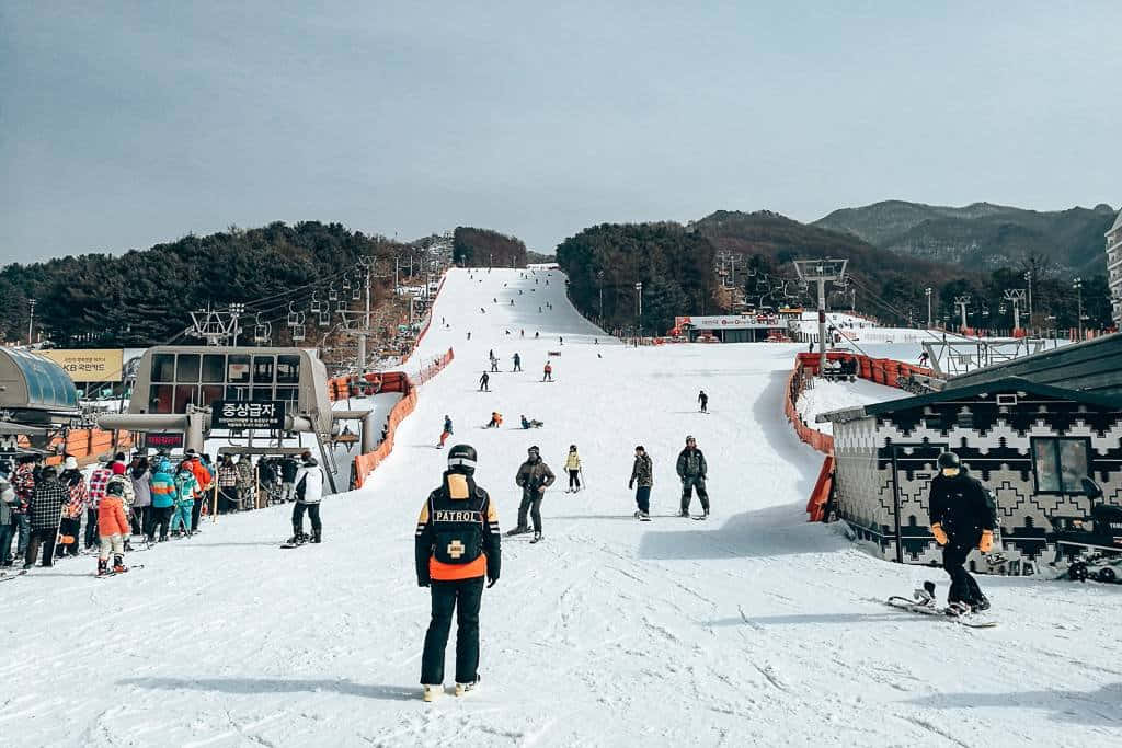 雪 桌布 壁紙 — 滑雪者和單板滑雪者在多雲的天空下滑過寬闊的雪坡，背景是森林覆蓋的山丘。