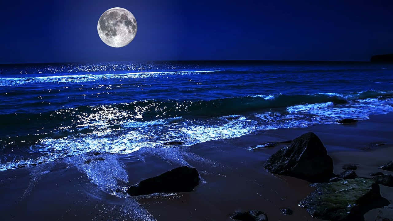 海灘 桌布 壁紙 — 滿月在岩石海灘上投下閃爍的藍色光芒，海浪在深邃的夜空下拍打著海岸。