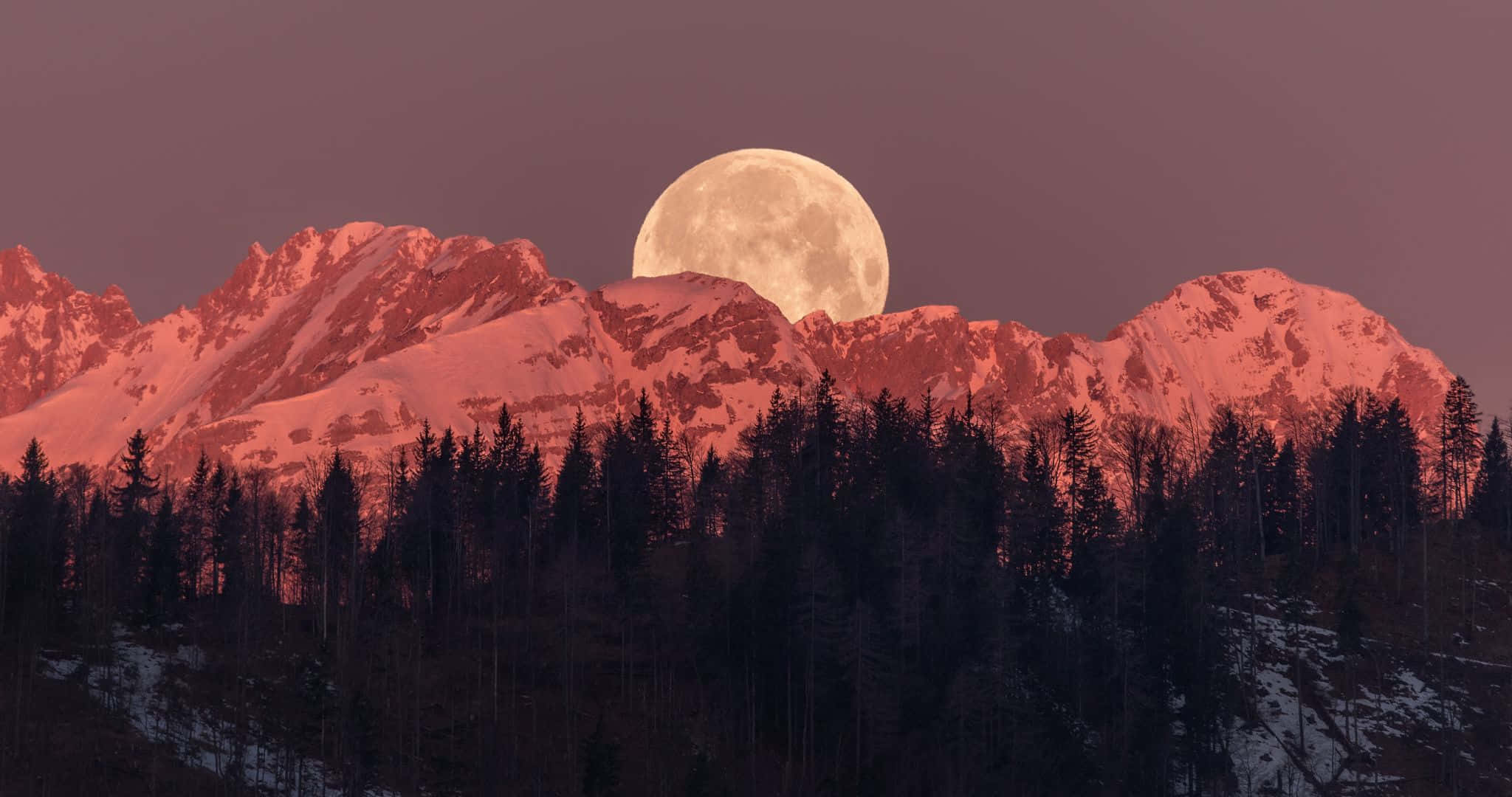 2048x1080 桌布 壁紙 — 滿月在積雪的山峰後發光，粉紅色的光芒沐浴著山頂和下方的深色松樹。