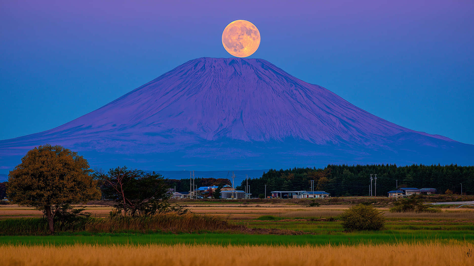 Full Moon Rising Over Majestic Mount Fuji and Field 壁紙 — 滿月在黃昏時分照耀著日本鄉村景觀中積雪覆蓋的富士山頂。