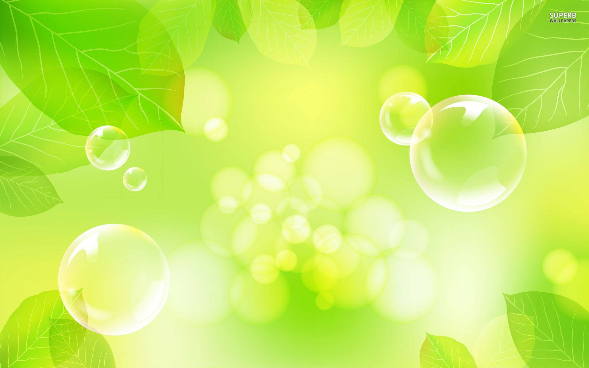 綠色 桌布 壁紙 — 漂浮的半透明氣泡在柔和發光的背景中，於鮮綠的葉子間飄移。