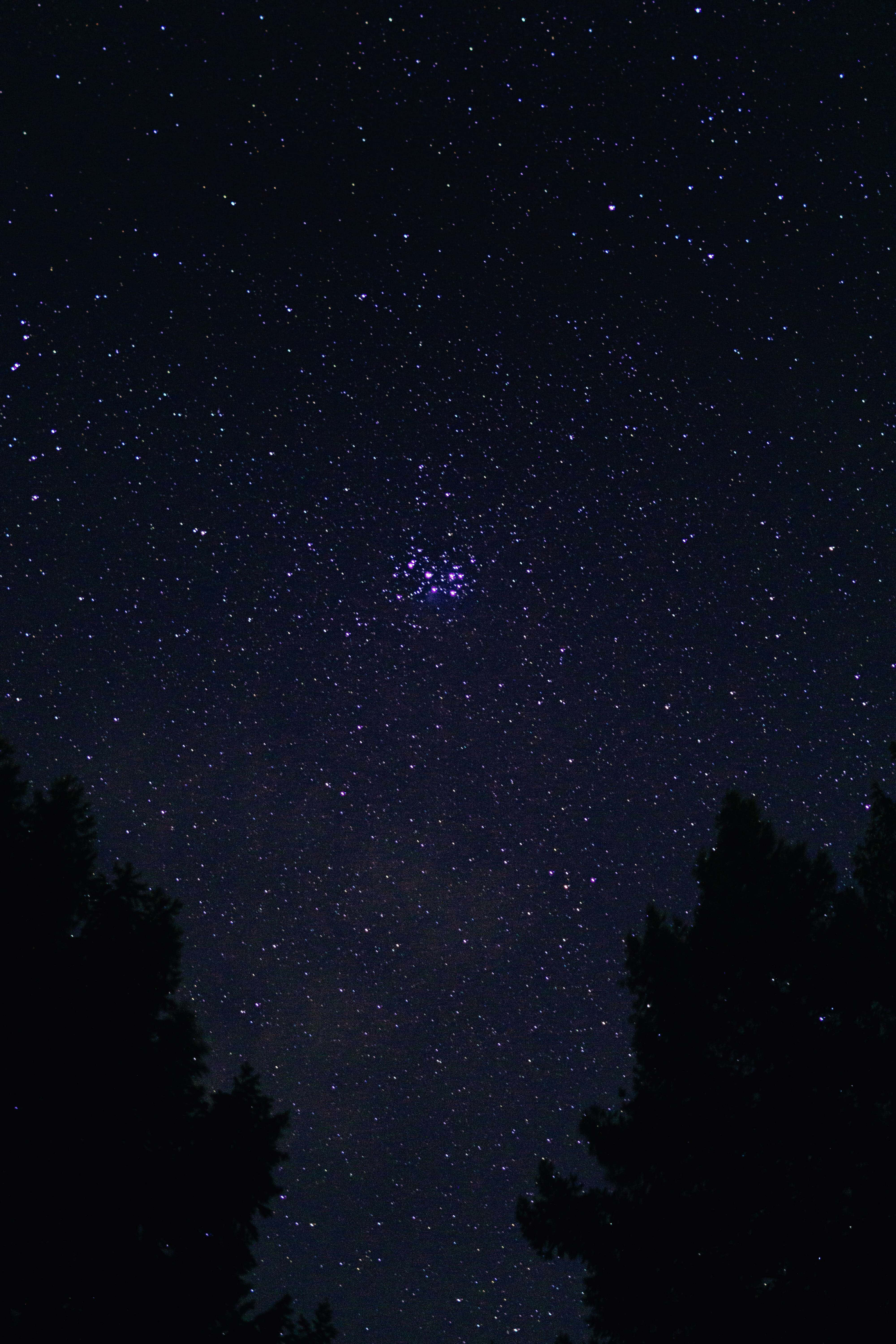 photo 桌布 壁紙 — 漆黑的樹影襯托著繁星點點的夜空，中央有一團明亮的星團在發光。