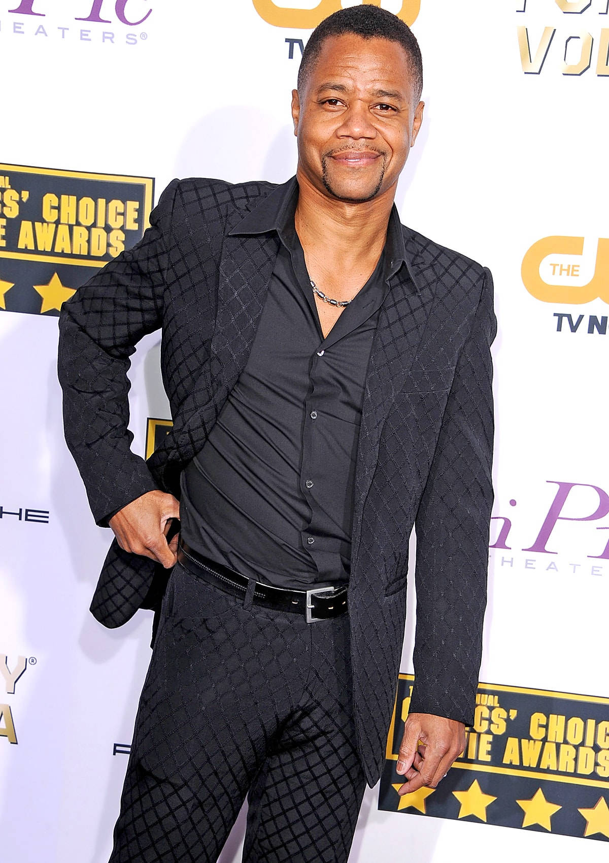 actor 桌布 壁紙 — 演員古巴·古丁二世在TV Land Awards紅毯活動中自信地穿著黑色格子西裝擺姿勢。