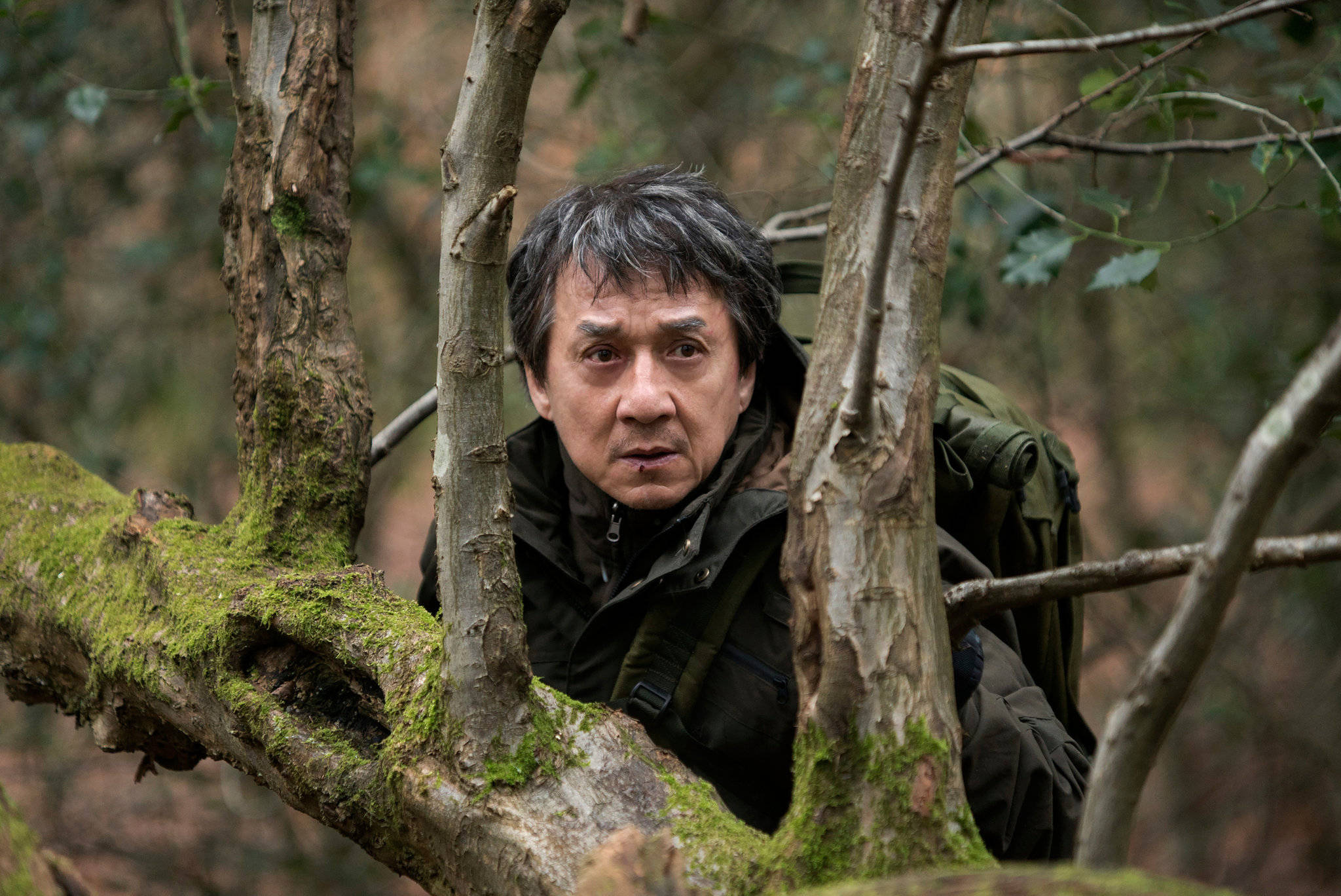 森林 桌布 壁紙 — 演員成龍背著背包，透過長滿苔蘚的樹枝凝視著茂密的森林。